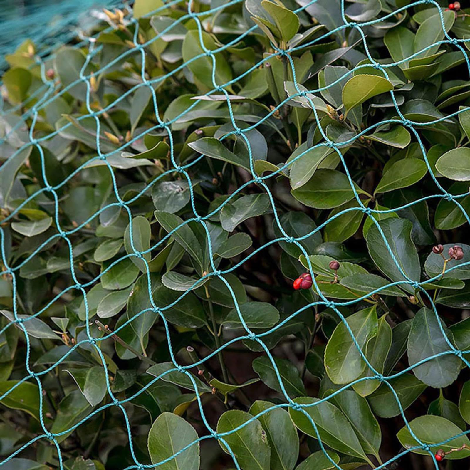 Filet Anti Oiseaux Potager Protection ExtéRieure des Oiseaux Jardinage Potager Filet en Maille Tissée Très Résistant, Réutilisable,10x10m