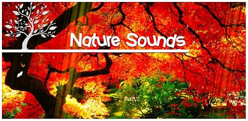 Som da Natureza