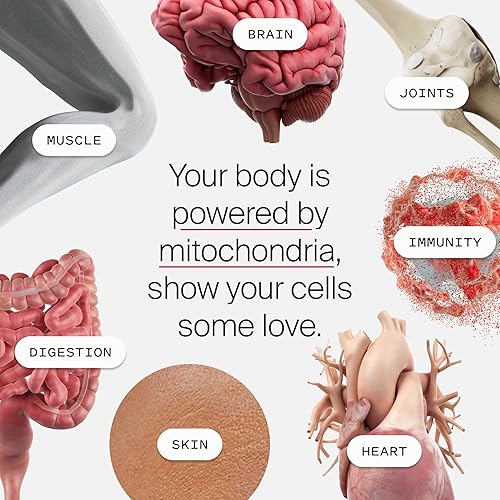 Miniatura 6 de Timeline Mitopure Urolithin A Supplement Softgels - Soporte clínicamente probado para un envejecimiento saludable y renovación celular - Mitocéutico