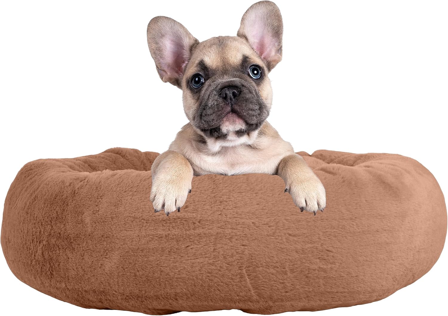 Small Gray Orthopedic Elevated Donut Dog Bed
