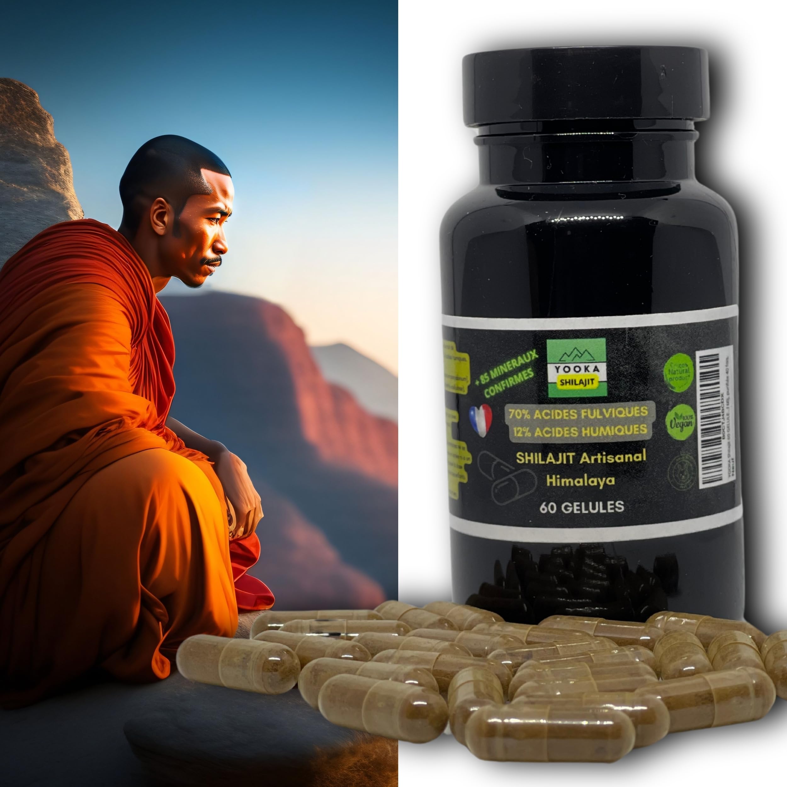 Shilajit Pur 10000 Mg - 90 Gélules, Acide Fulvique Naturel, Neuf