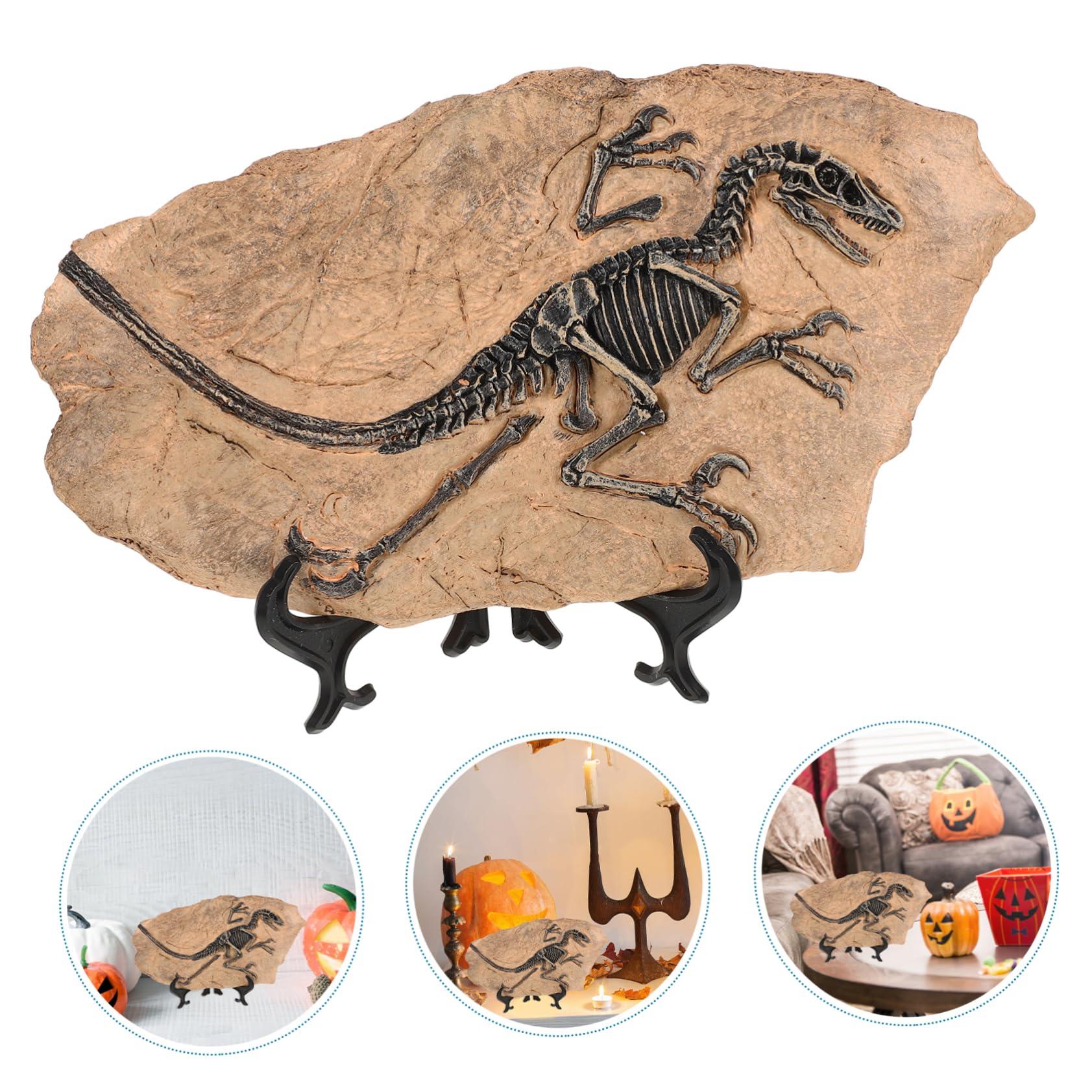 Levemolo 1set Ornamenti Fossili Di Dinosauro Per Decorazione Da Scrivania Di Fossile Dinosaurs Da Collezione Per Appassionati Di Paleontologia e Decorazioni