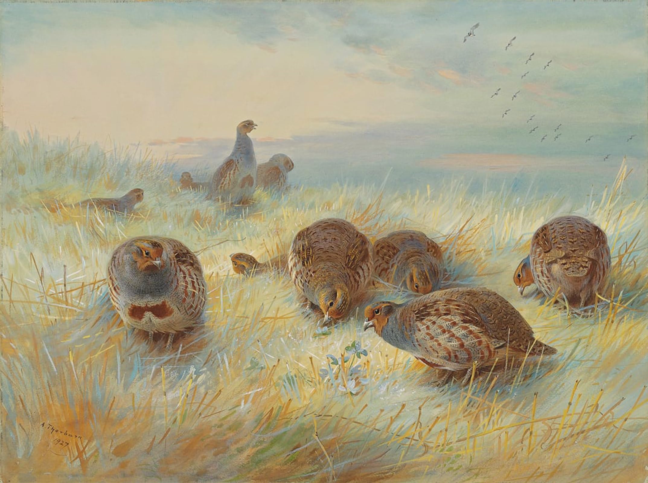 Wykujmyto No Frame Vintage Poster Abstract Wall Prints Pictures Wall Painting A Frosty Dawn By Archibald Thorburn Art Prints Painting For Office Decor 60X90cm