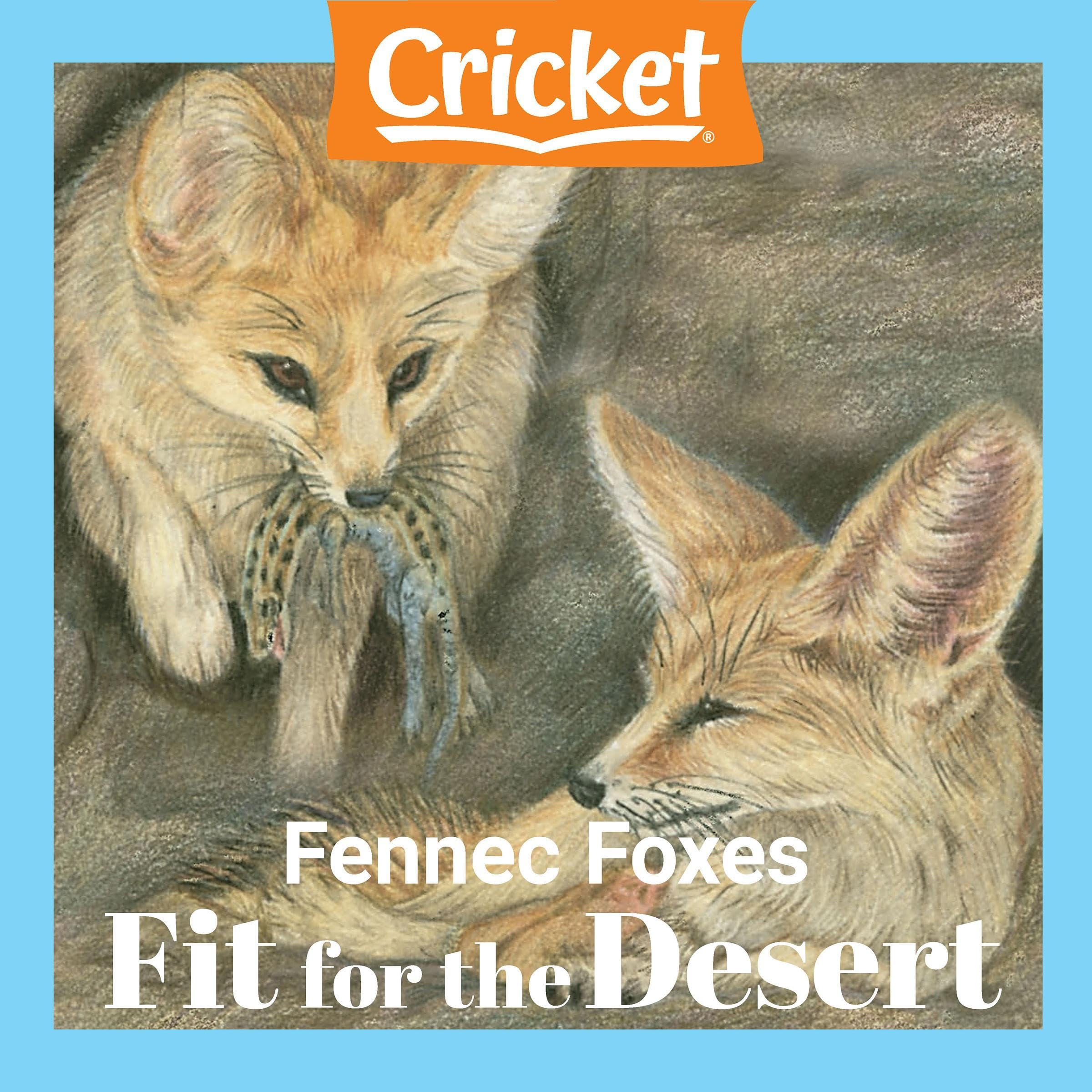 Fennec Foxes Fit for the Desert