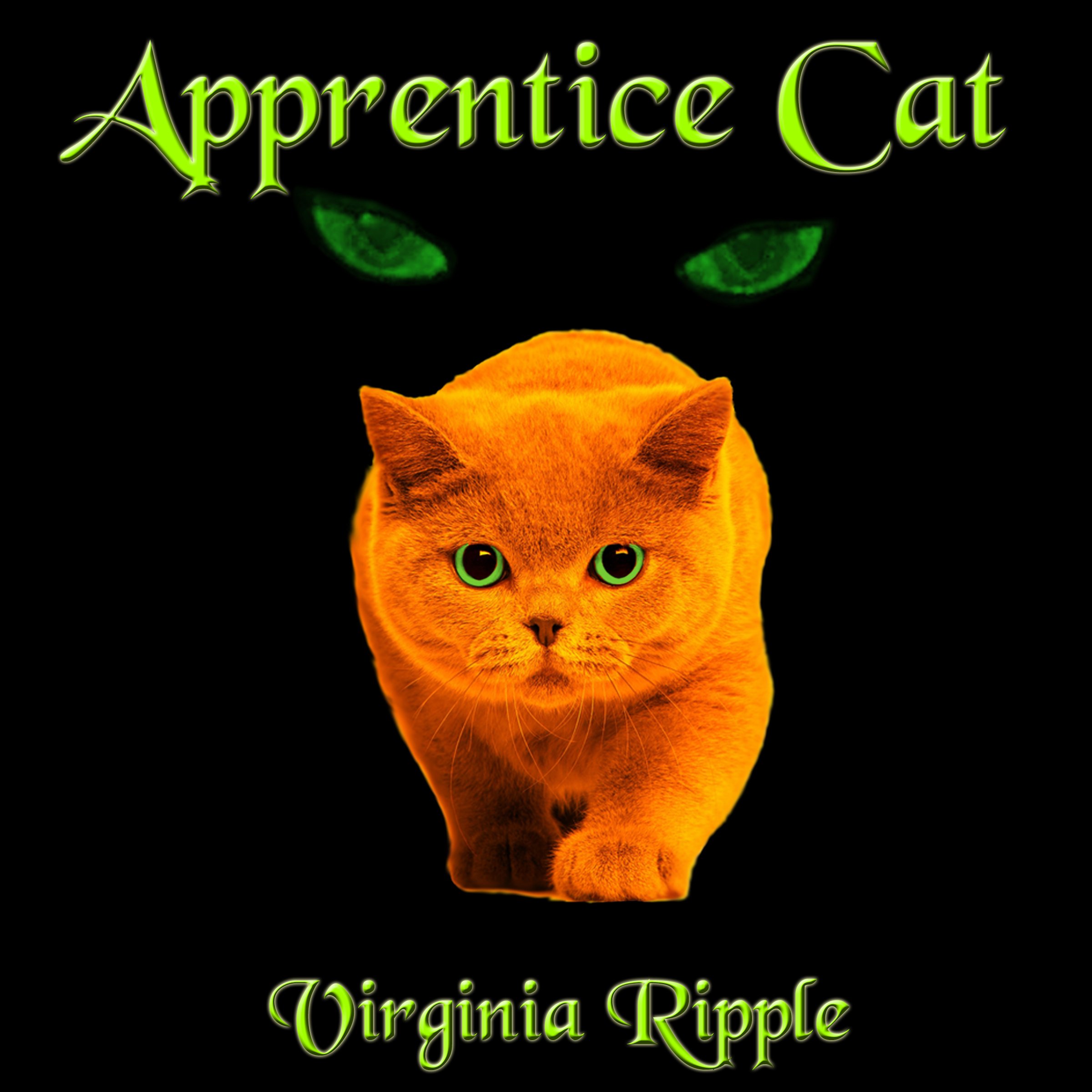Cover art for Apprentice Cat