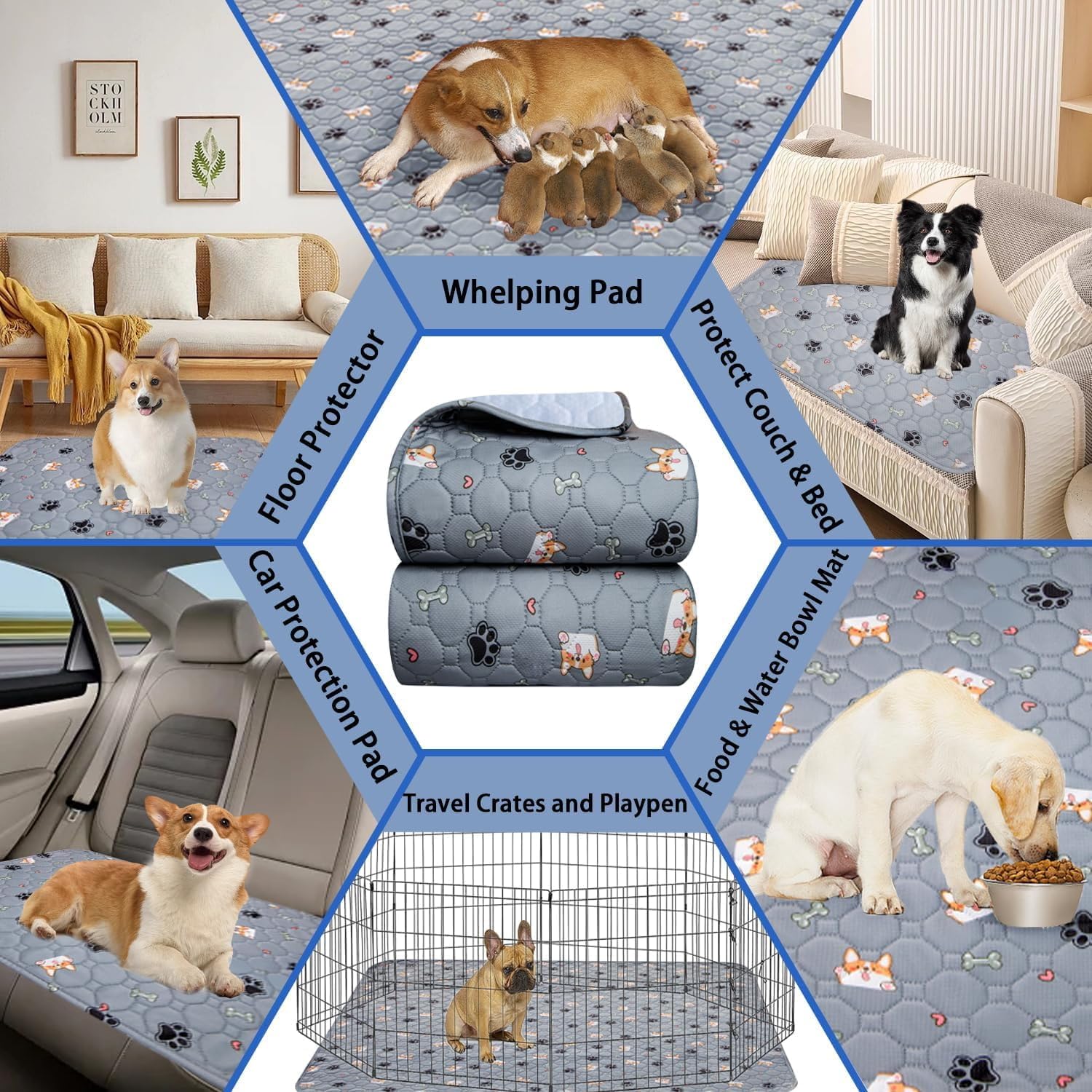 2 Pezzi Tappetini Assorbenti per Cani, Traverse Lavabili per Cani, Tappetino per Addestramento del Cane Riutilizzabile per Gatti, Cani, Conigli, Porcellini d'India - 121x121cm