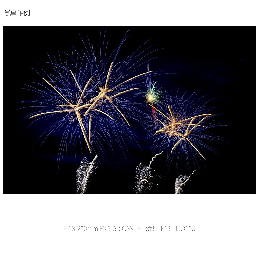 SONY高倍率ズームレンズ 18-200mm E 18-200mm F3.5-6.3 OSS LE | デジタル一眼カメラα（アルファ