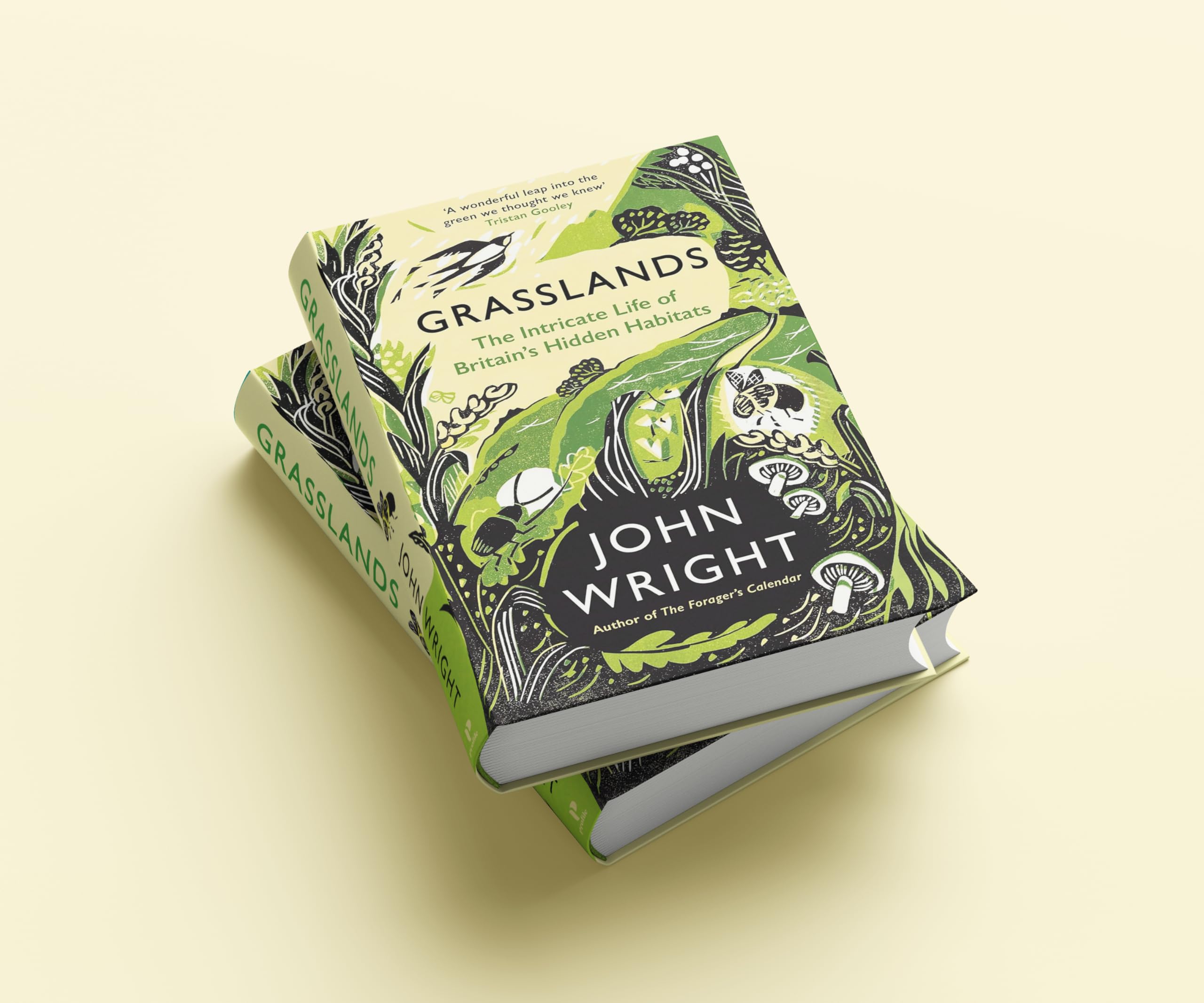 Grasslands: The Intricate Life of Britain's Hidden Habitats