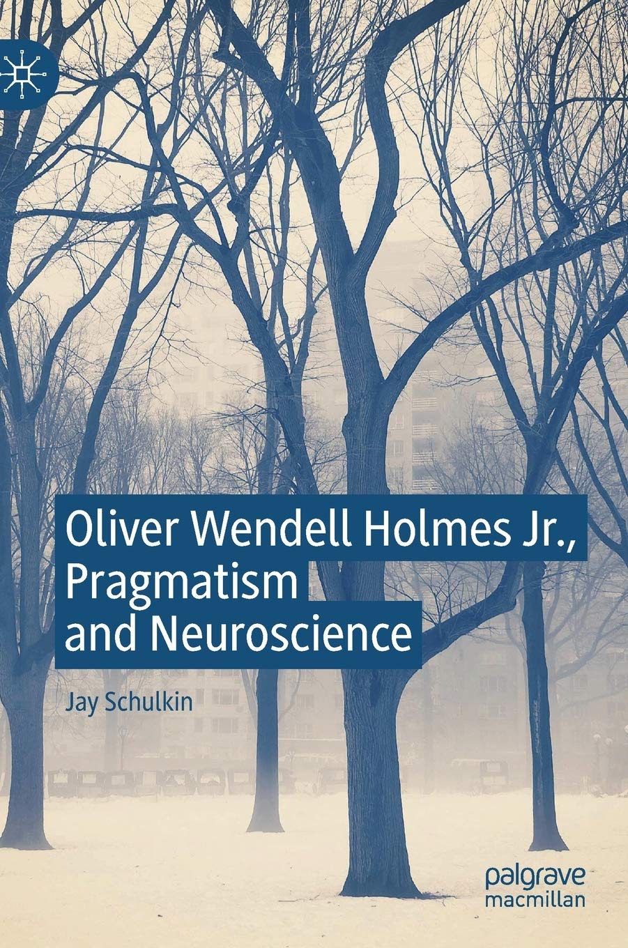 Buy Oliver Wendell Holmes Jr., Pragmatism and Neuroscience — BookShops.in