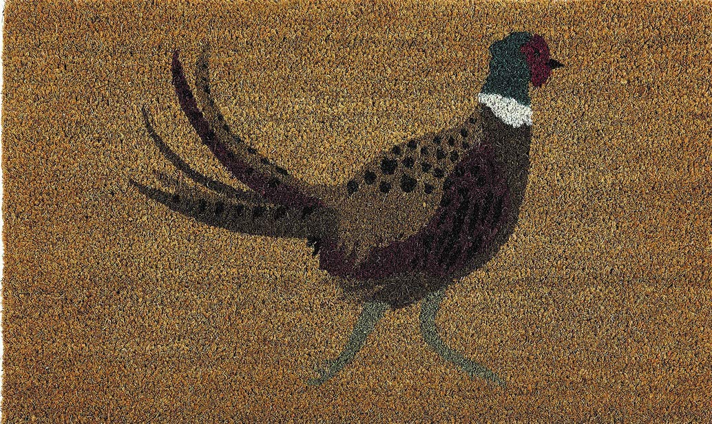 My Mat Printed Patterned Animal Love Coir Indoor Outdoor Door Mats 45x75cm Gift (Pheasant, 45x75cm)