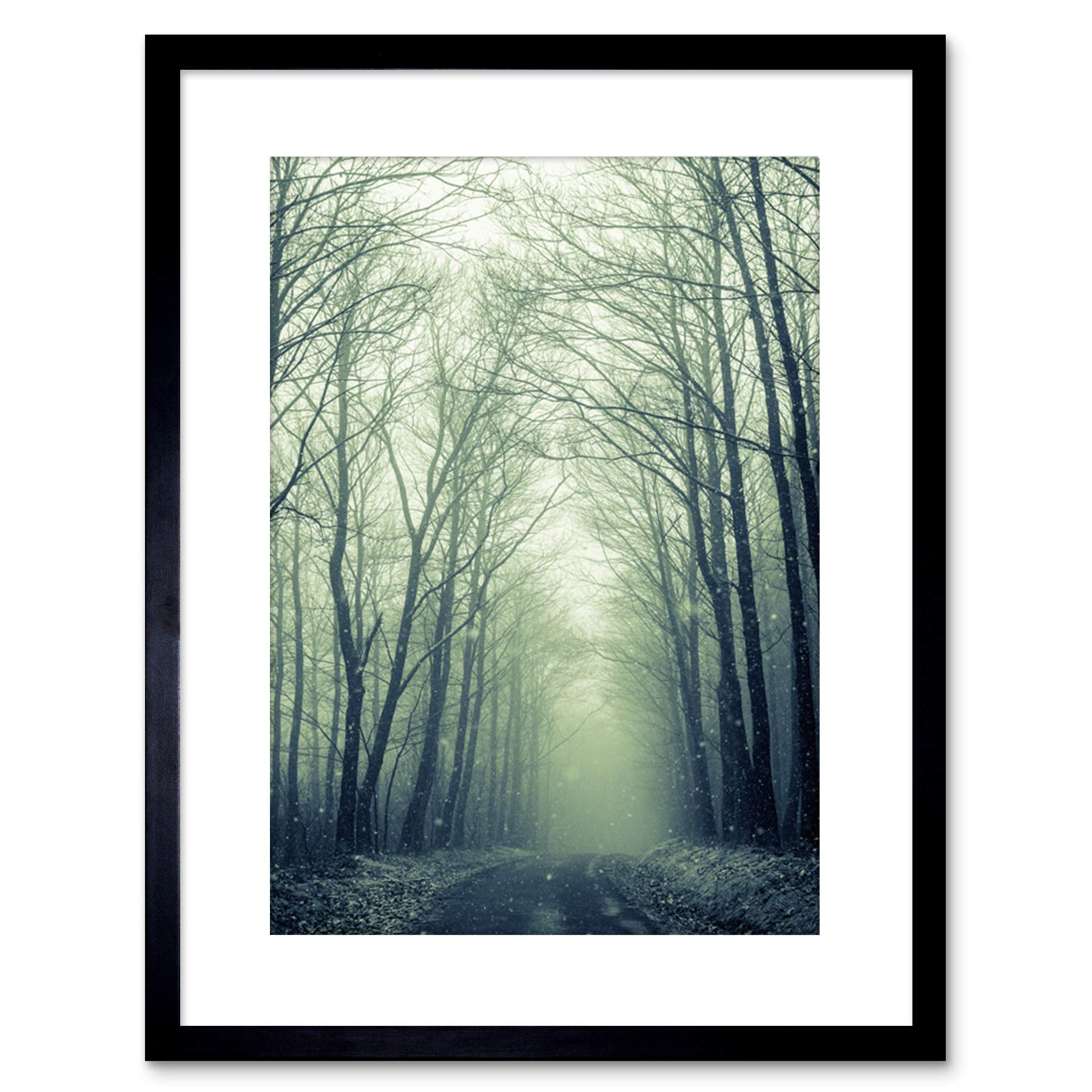 Wee Blue Coo NATURE PHOTO FOREST TREES WINTER TRACK FRAMED ART PRINT POSTER F97X11977