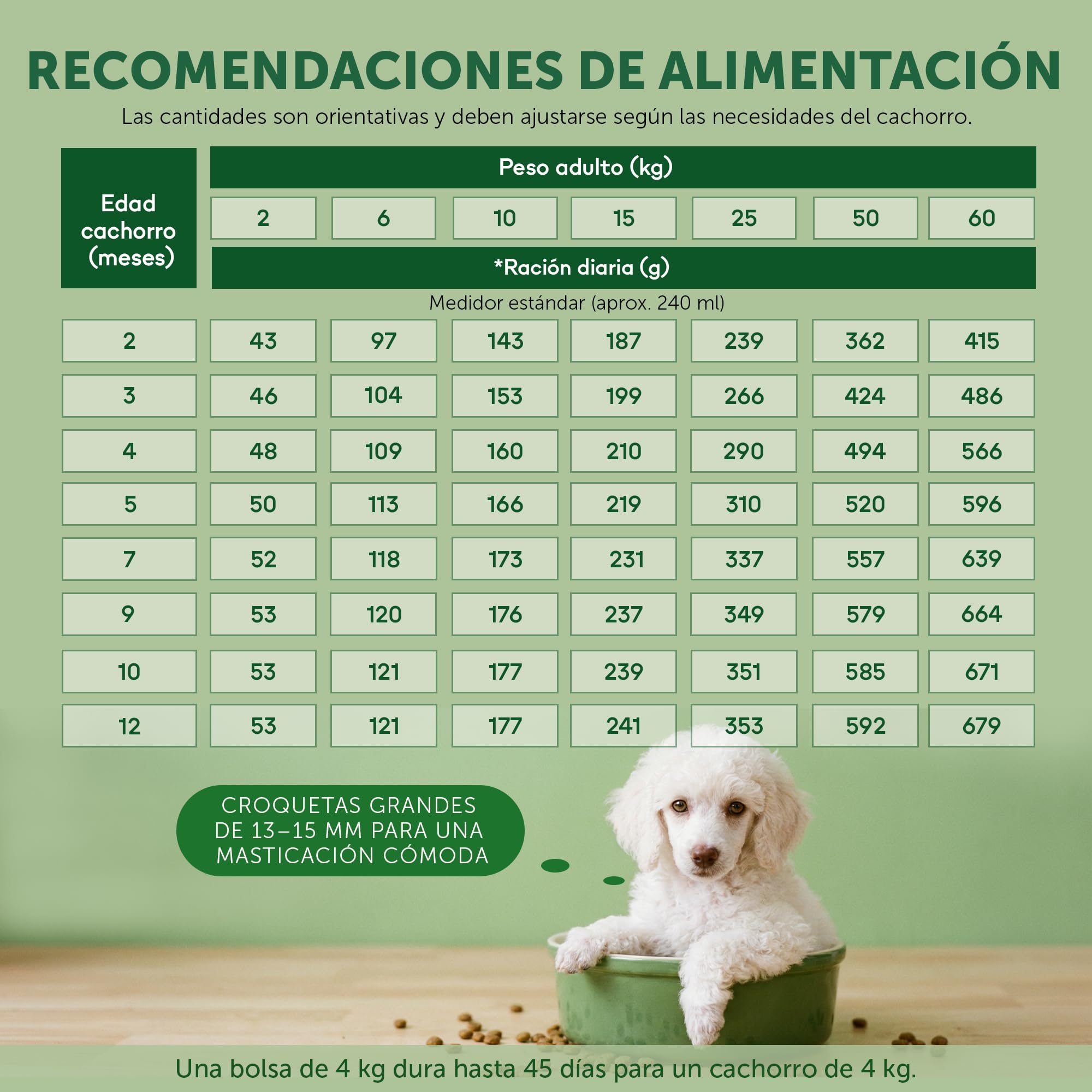 Nature's Protection Superior Care Pienso Cachorro, Pez Blanco y arroz 4 kg | Crecimiento sano y digestión suave, Hipoalergénico, Croquetas grandes, Perros jóvenes, Pelajes blancos/claros
