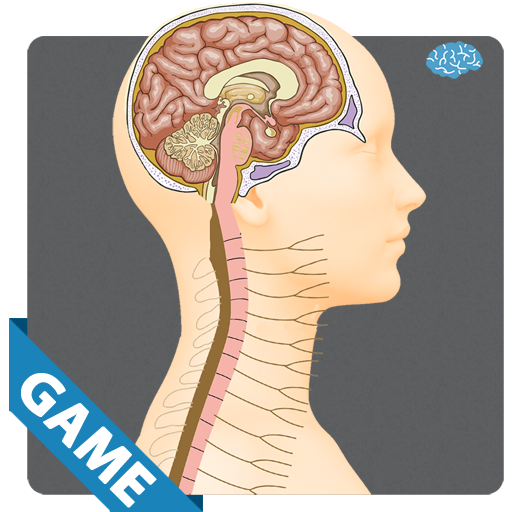NERVOUS ANATOMY GAMEAmazon.frAppstore for Android