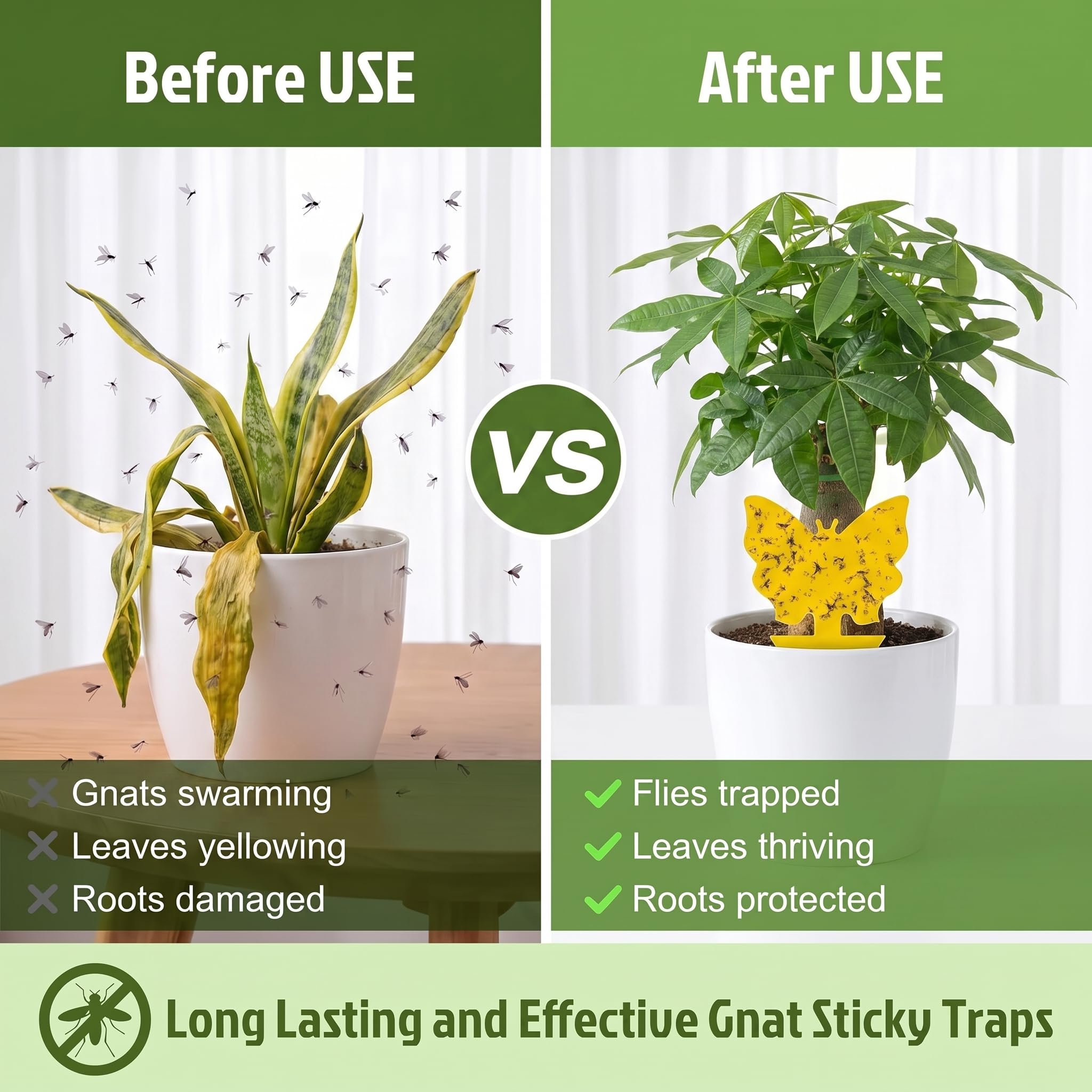 Fruit Fly Traps - Gnat Traps for Plants -5
