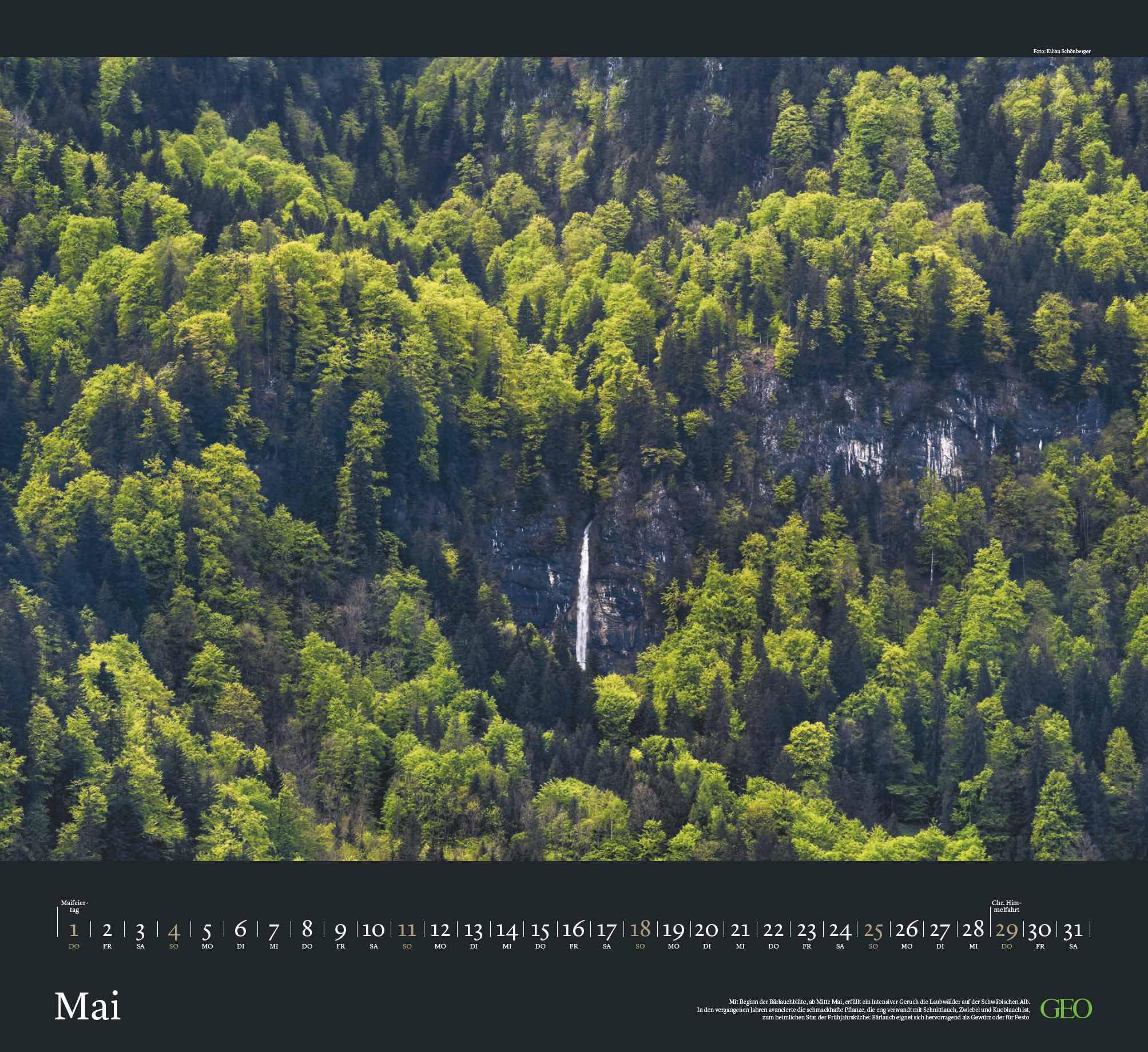 GEO - Sehnsucht Wald Wandkalender 2025 - Eindrucksvoller Waldlandschaften Kalender, Harmonisches Format 60x55 cm, mit Faszinierenden Wald- und Naturbildern