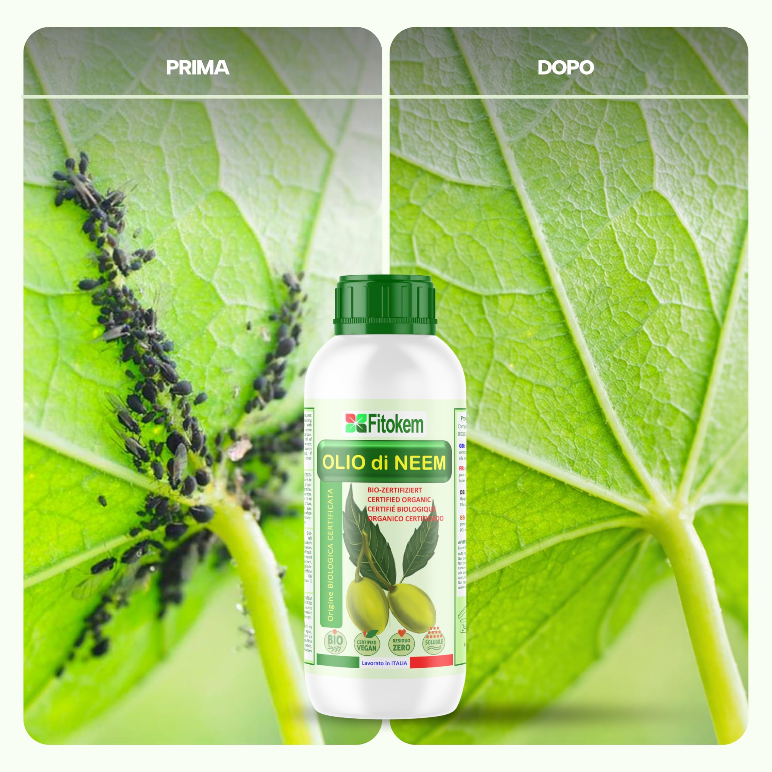 Fitokem Olio di Neem Solubile 1Litro Concentrato Biologico Anti Afidi Cocciniglia Pidocchi