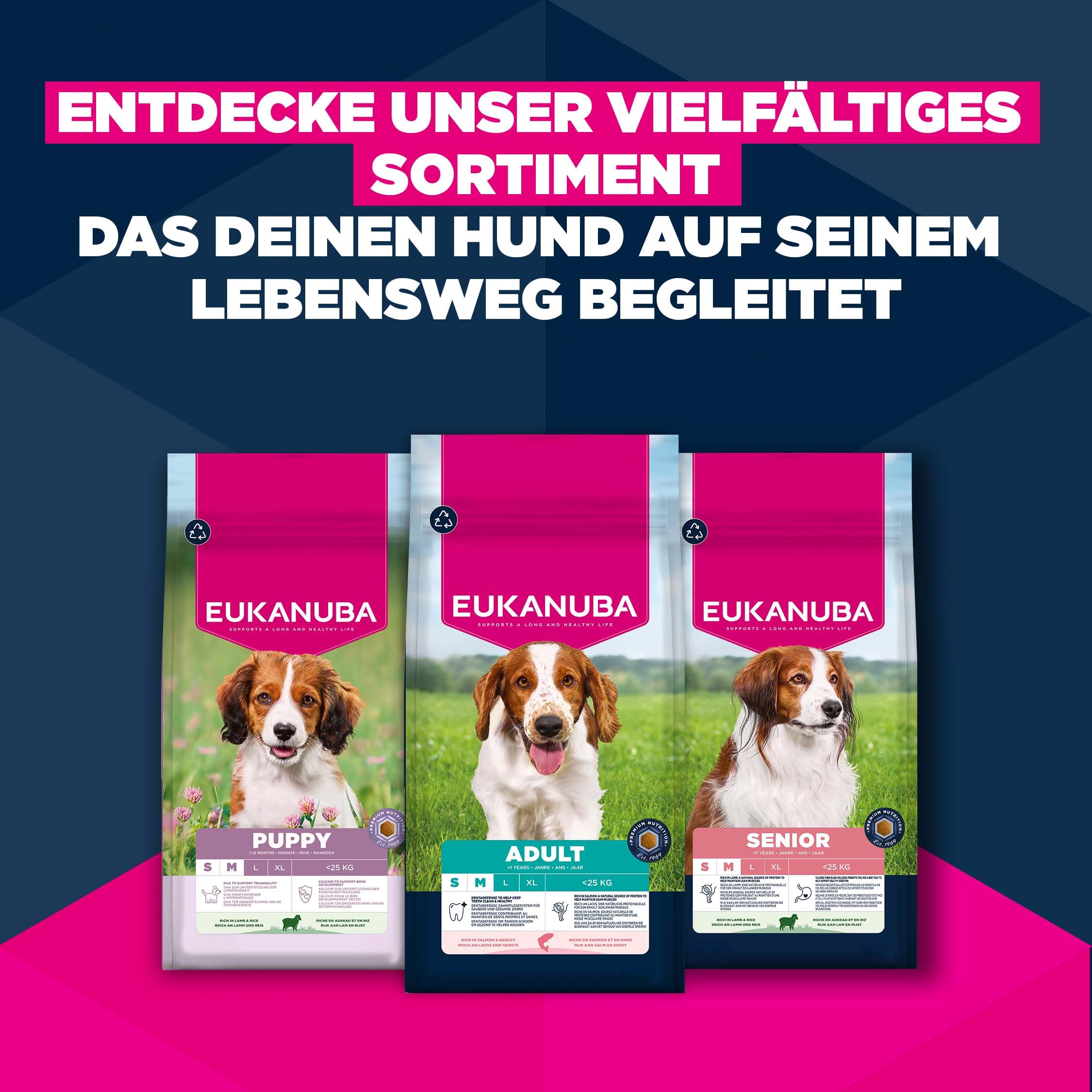 Eukanuba Hundefutter Trocken mit Lachs und Gerste für kleine und mittelgroße Rassen - Premium Trockenfutter für ausgewachsene Hunde, 12 kg