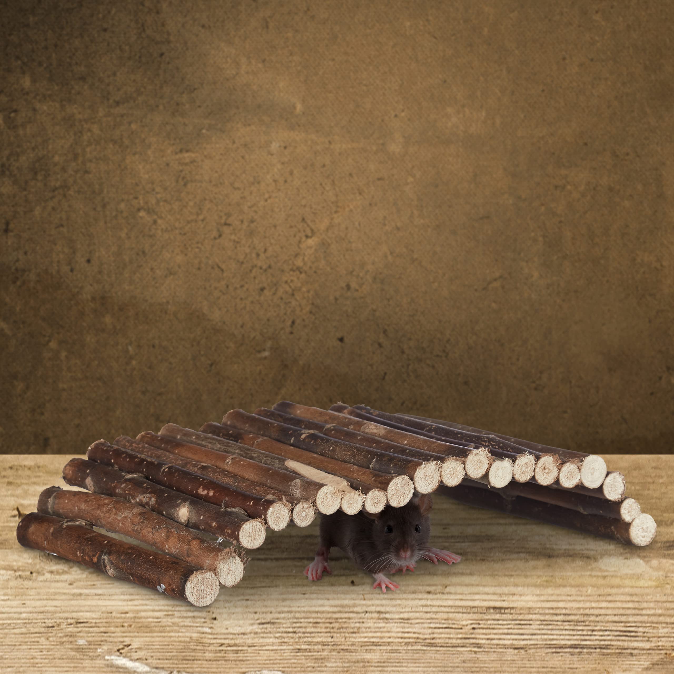 10x Ponte in Legno per Roditori, Tunnel per Animali, Criceti, Flessibile, Schima, HLP 2x29x17cm, naturale