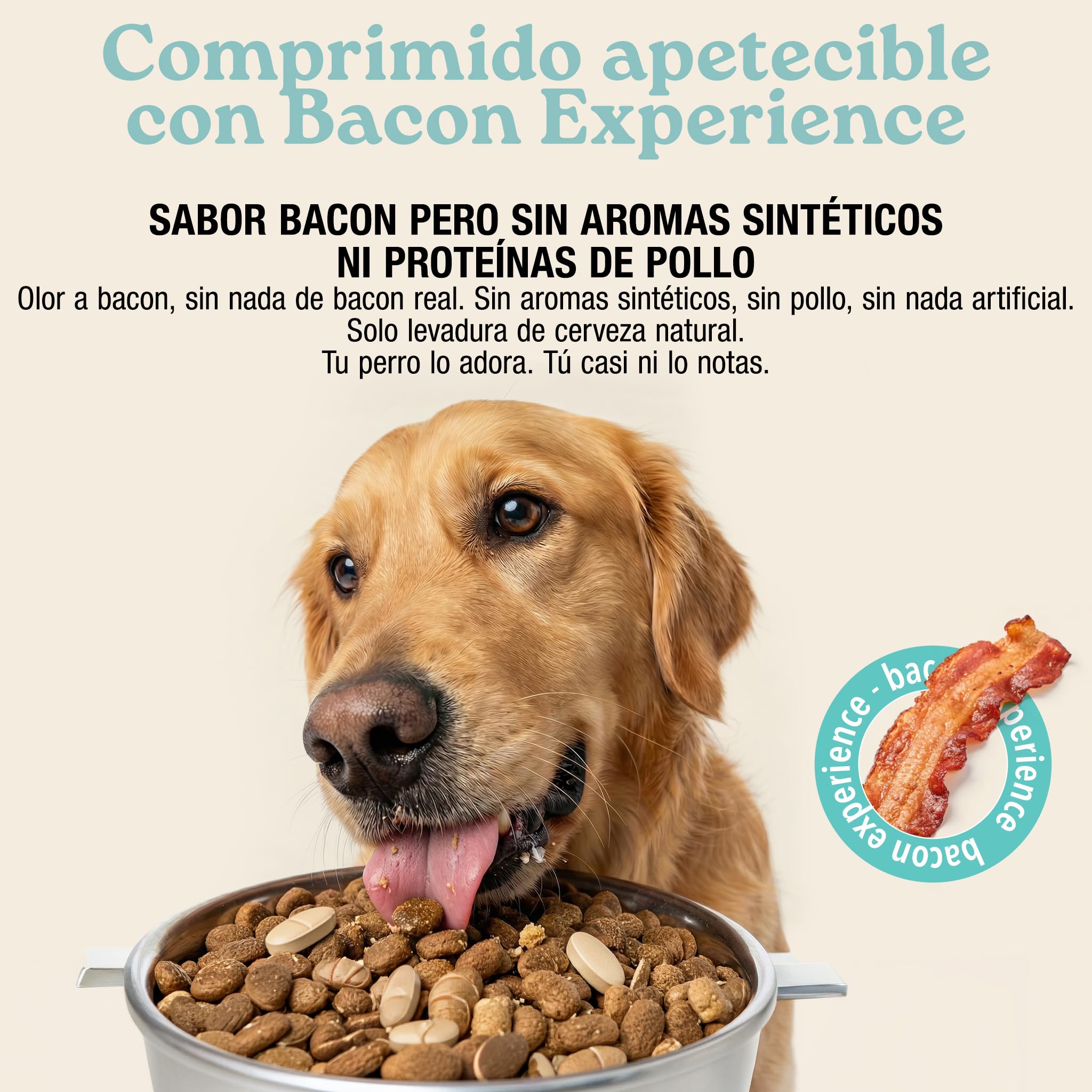 MyPetPrime Articulaciones Complemento alimenticio para Perros - 125 Comprimidos | Nueva fórmula JointSupport™ con MSM, Polvo de mejillón de Labio Verde, glucosamina y Garra del Diablo