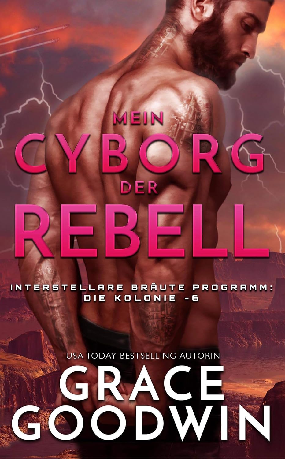 Mein Cyborg, der Rebell (Die Interstellare Bräute: Die Kolonie 6) (German Edition)      Kindle Edition
