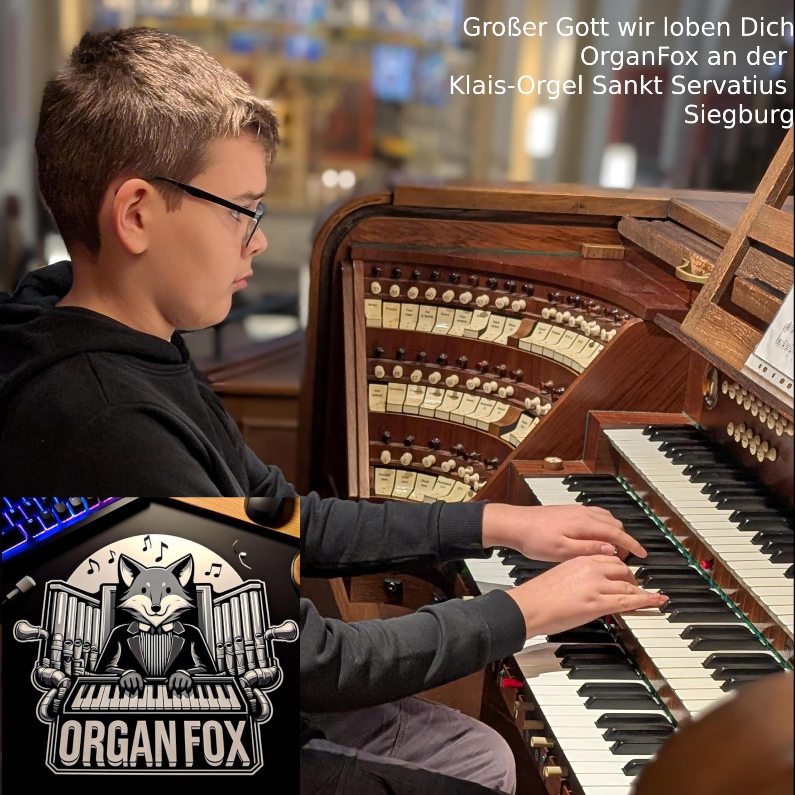 OrganFox