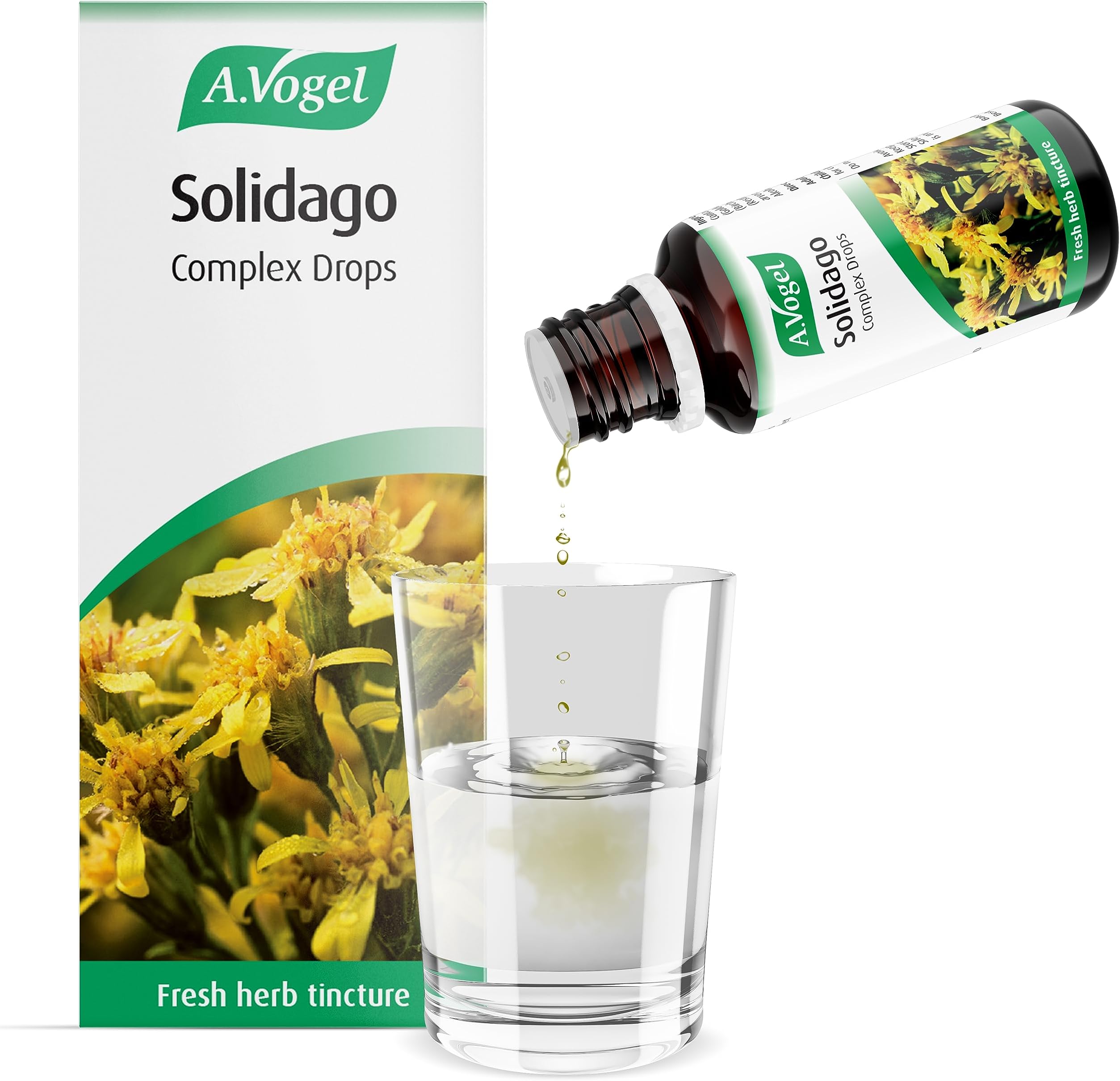 The Healthy Option Solidago Complex 50Ml