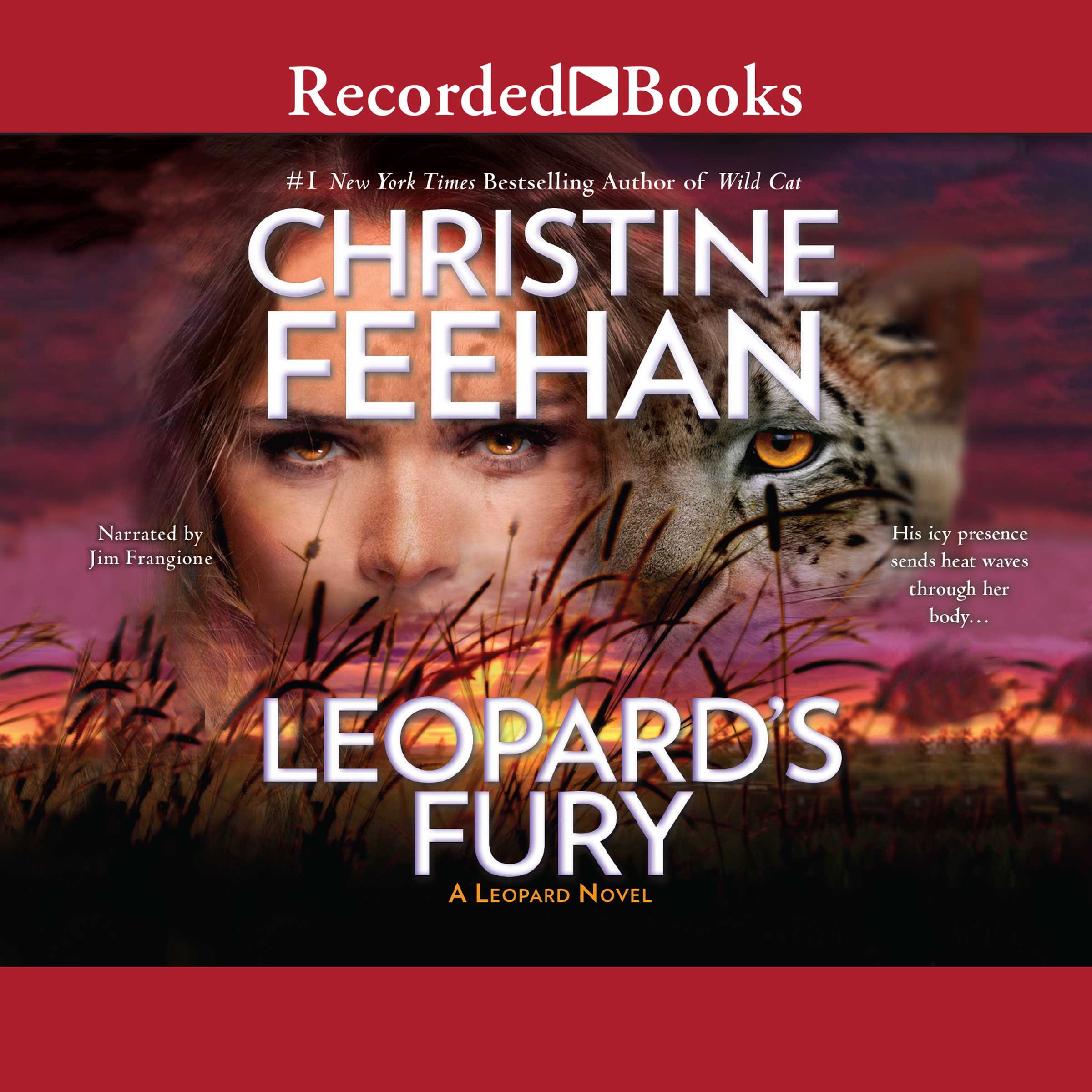 Cover art for Leopard's Fury