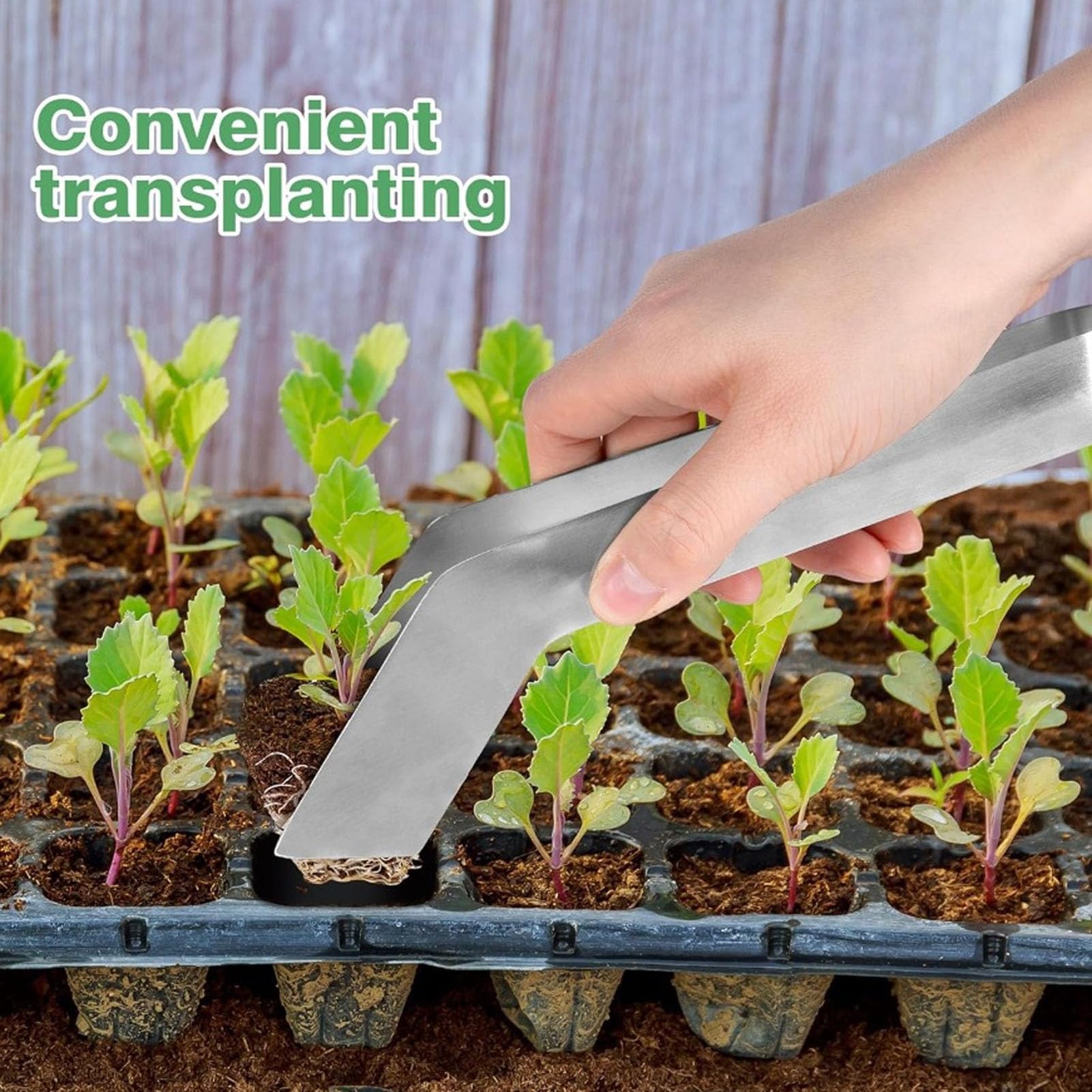 PINCE DE TRANSPLANTATION Pour Enlever Les Semis Pince De Transplantation Pour Enlever Les Semis Pince 196401607279