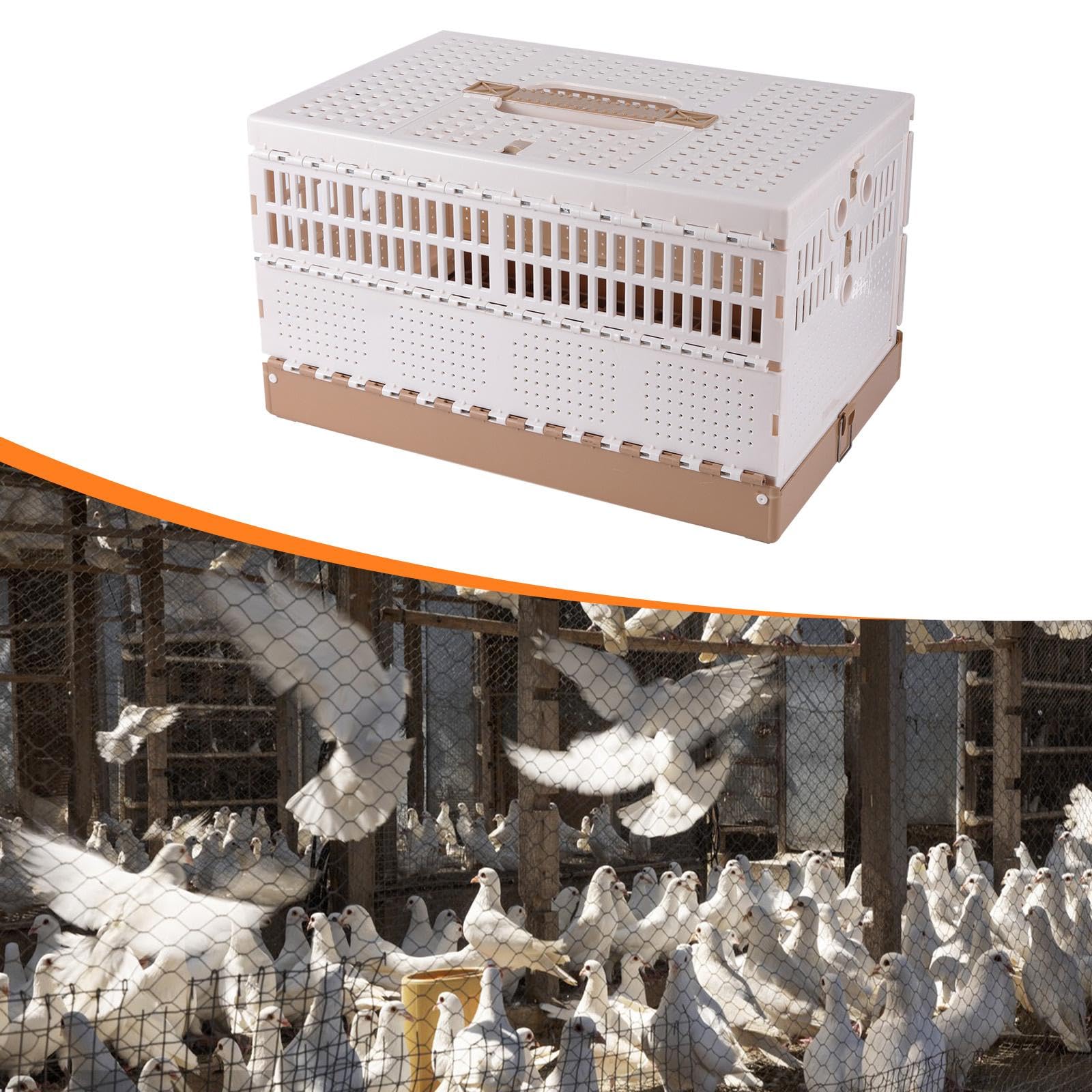 Colcolo Jaula para Palomas, Caja de Transporte, para Exteriores, Jaula de Viaje Plegable para pájaros, Caja Nido para Palomas, para el Transporte y liberación
