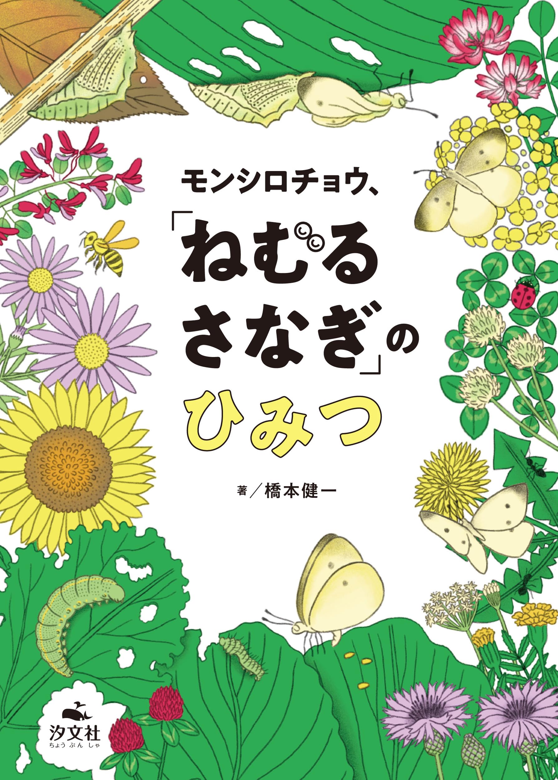 モンシロチョウ、「ねむる さなぎ」のひみつ | 橋本健一 |本 | 通販