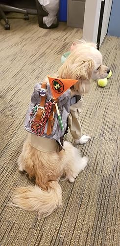 Miniatura 4 de COLIBROX Juego de 2 réplicas de Ellie Insignia de uva de soda Botellero "UP" y Pegatina Bolsas de Regalo Brocha Disfraz Joyería Insignia Pin, Púrpura