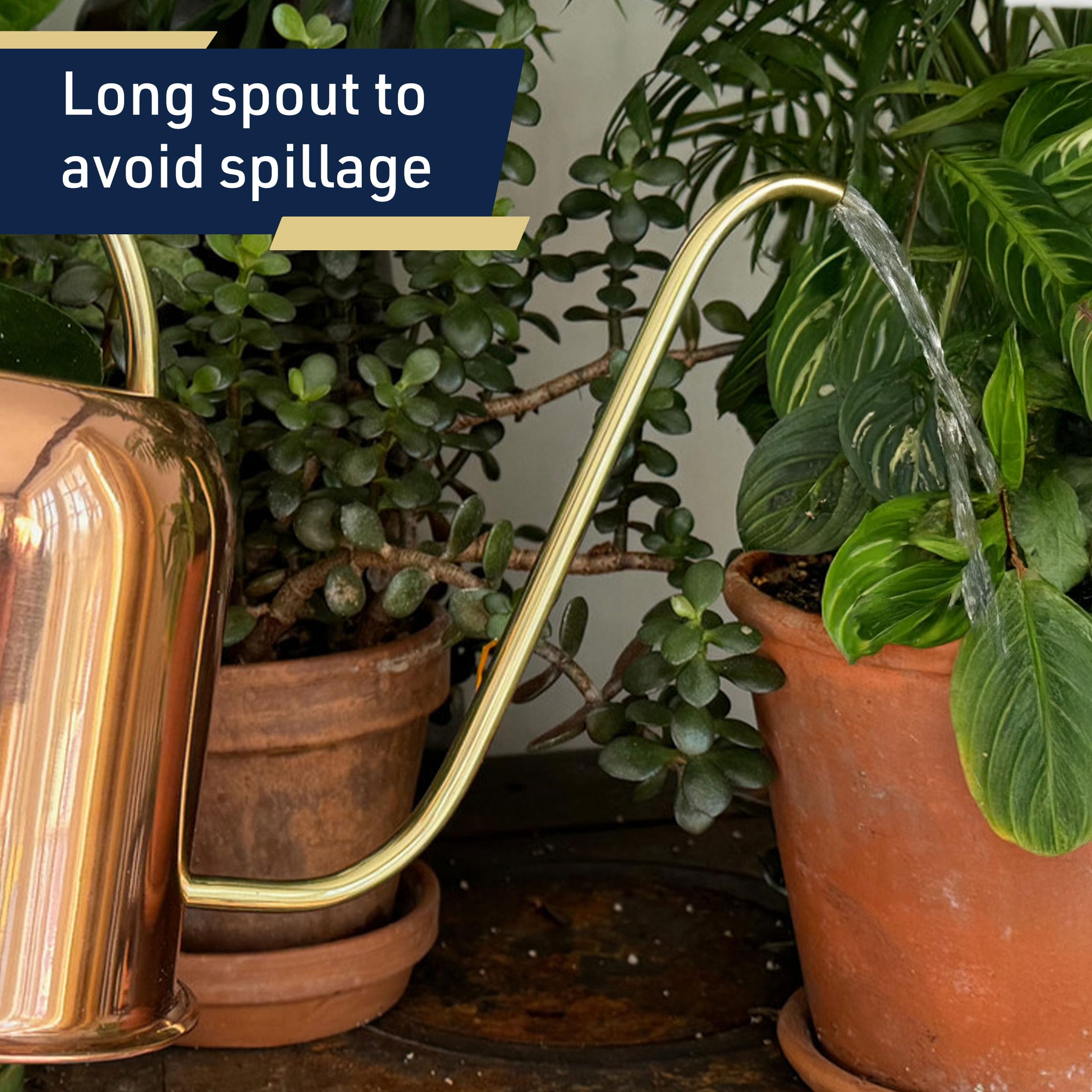 Regadera de Cobre para Plantas de Interior – 48 onzas de Boquilla Larga precisa pequeña Lata de Agua para Plantas, bonsái, suculentas, Plantas de Interior o jardín – Regaderas de Metal para Plantas