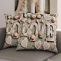 PETTI Artigiani Italiani – Coppia di Federe Cuscino 35×35 cm in Microfibra, Cuscini Arredo Camera da Letto, Divano, Salotto, Set 2 Fodere Copricuscino, Federa Shabby 318, 100% Made in Italy