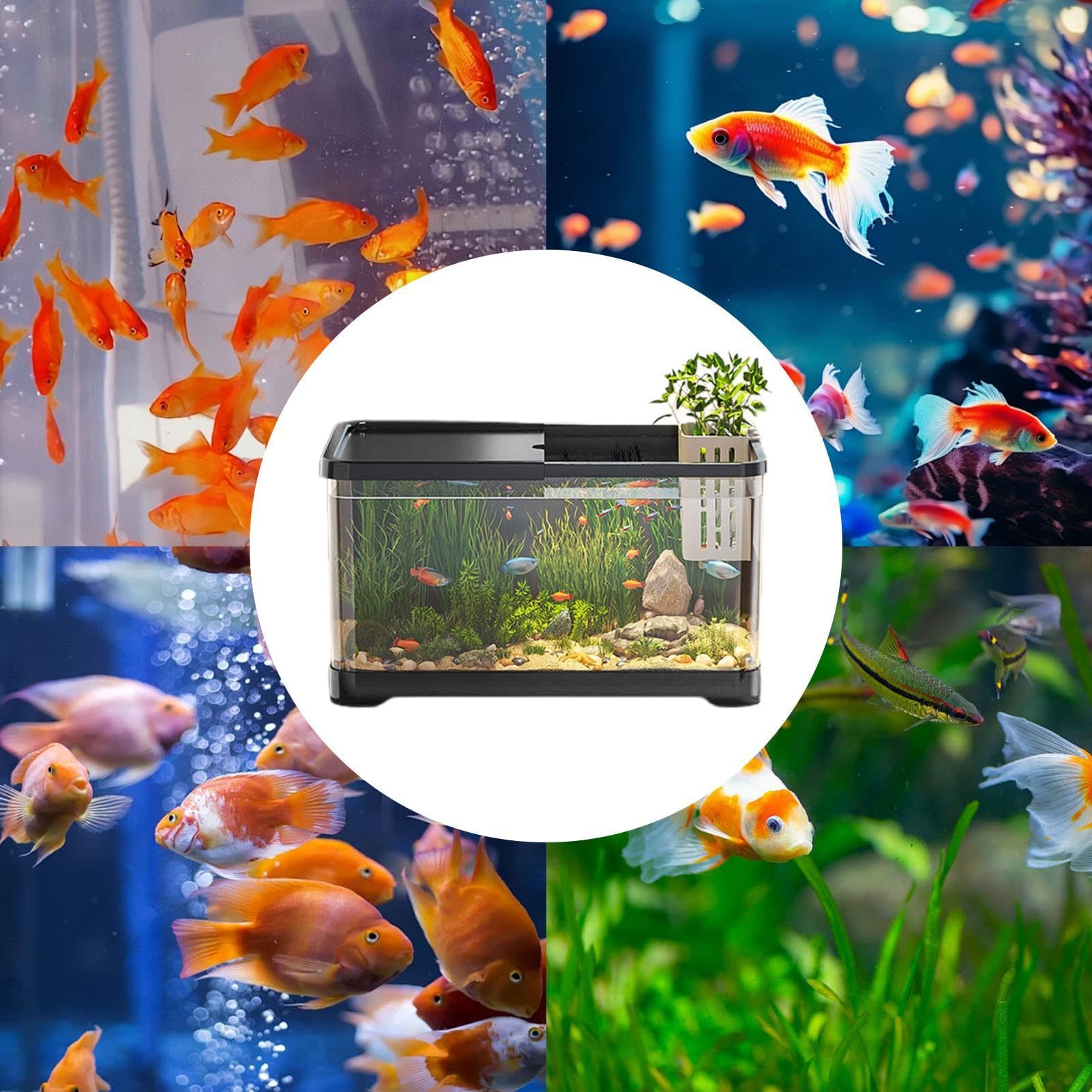 Kit d'aquarium – Aquarium décoratif en Eau salée | Aquarium avec système | de filtration, éclairage, réservoirs créatifs, aquarium avec panier pour Goldfis, gupy, crevettes, méduses