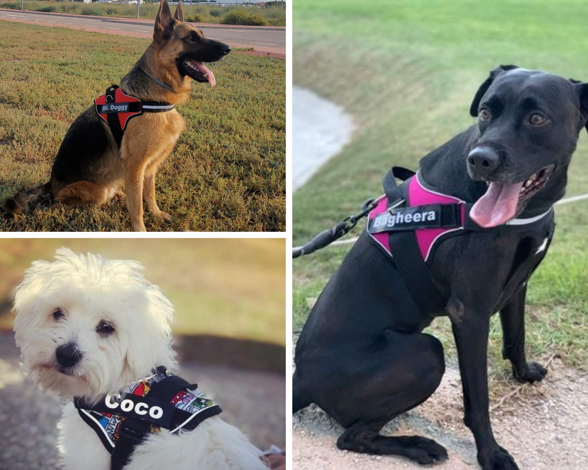 SUPER DOGGY Arnes Personalizado para Perros - Tamaño Pequeño, Mediano y Grande - Incluye 2 Etiquetas con Nombre - Pechera para Perros Reflectante y Seguro (XS 3-7KG, Cómic)
