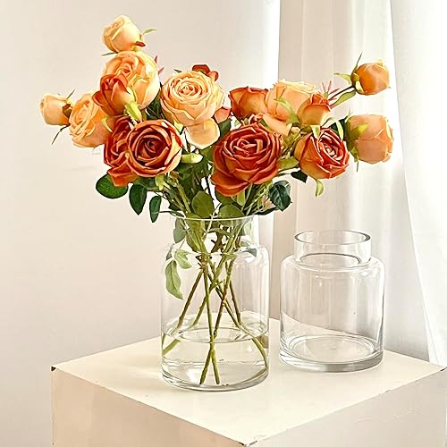 Miniatura 5 de BLOFLO - Jarrón de vidrio transparente, florero grande de vidrio de 7 pulgadas para flores, jarrones modernos de vidrio grueso para centros de mesa,