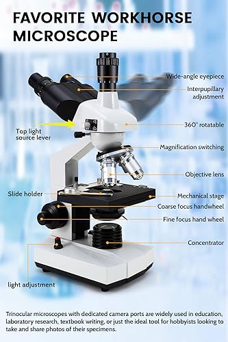 Miniatura 3 de Microscopios trinoculares compuestos 40X-5000X trinocular para adultos, con cámara de 5.0 mp con diapositivas de microscopio 30p, accesorios para