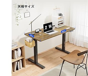 FLEXISPOT EF1 スタンディングデスク 120x60 cm 木目調 楽天市場】昇降デスク 電動 Flexispot EF1 天板120*60cm 昇降式