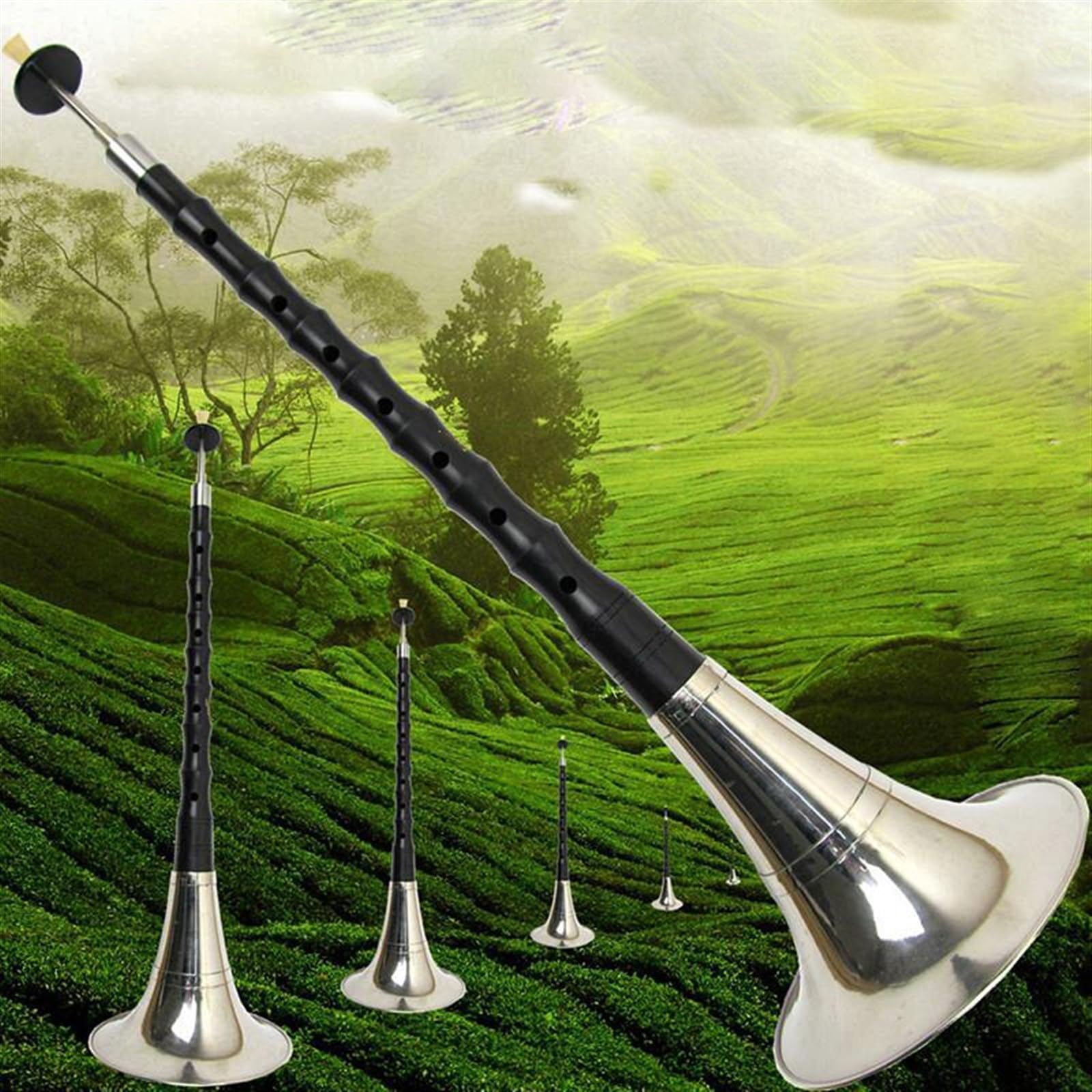 Suona en bois de santal noir pour débutants, instrument à vent folklorique chinois avec anche