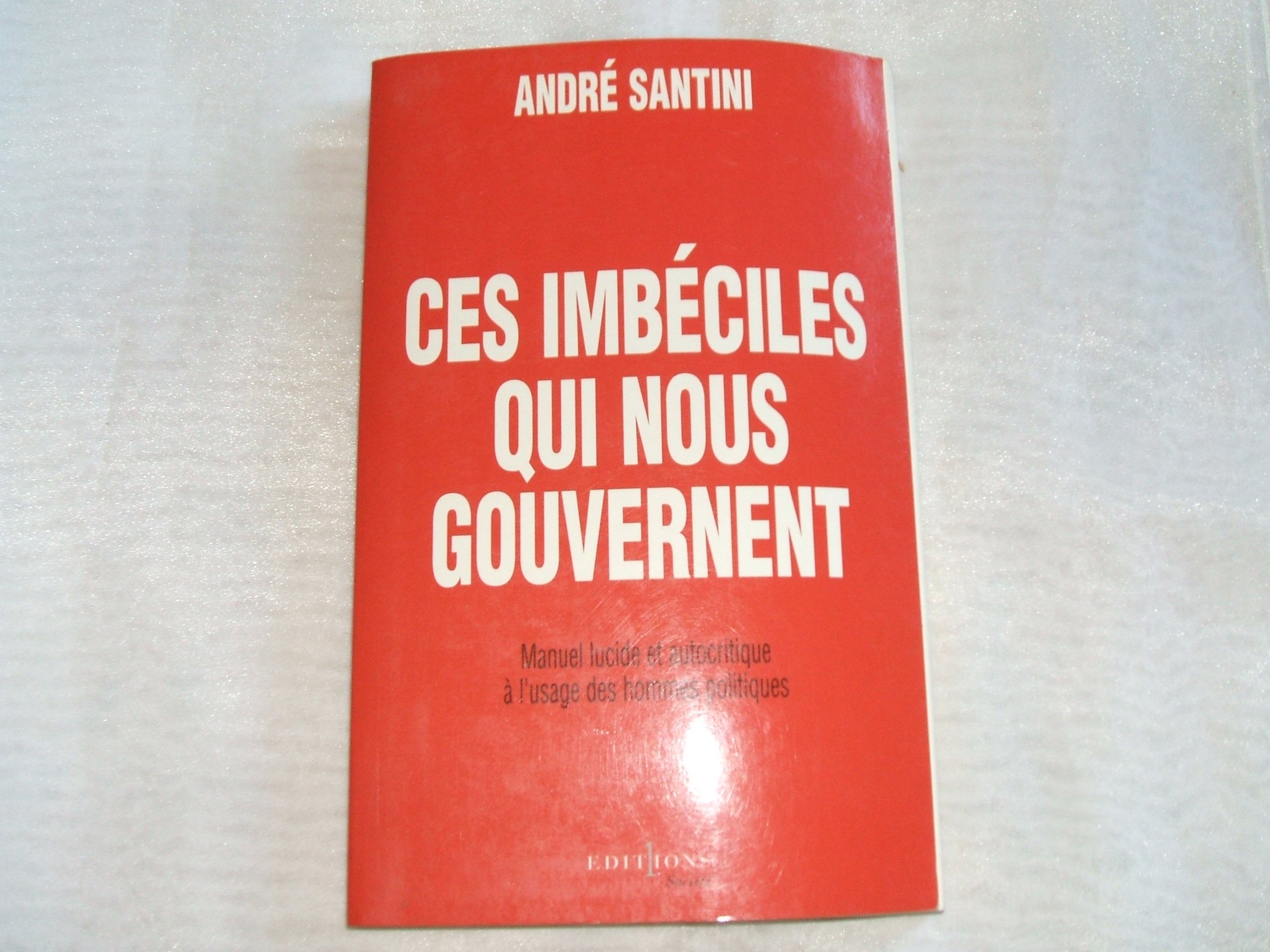 Ces imbéciles qui nous gouvernent: Manuel lucide et autocritique à l'usage des hommes politiques