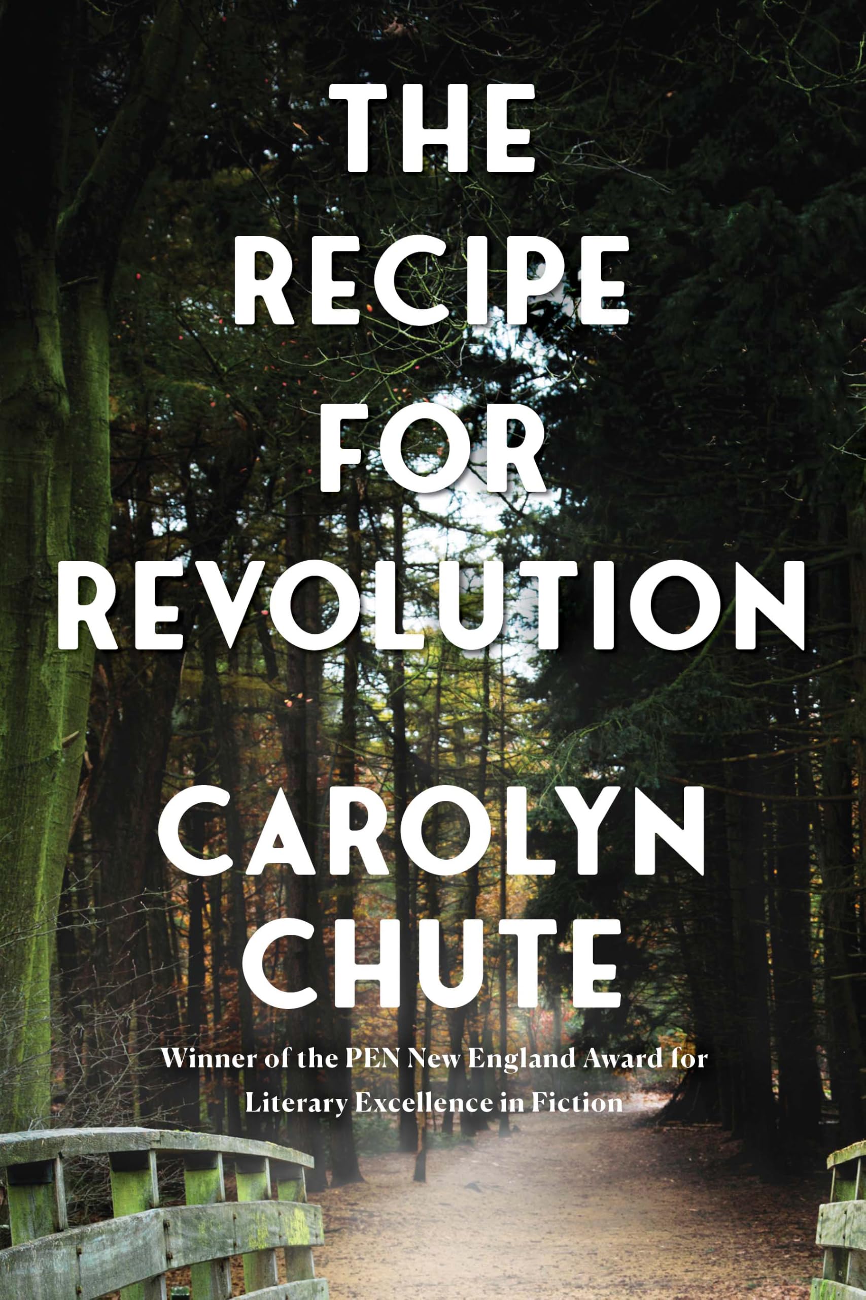 Buy Recipe for Revolution — BookShops.in