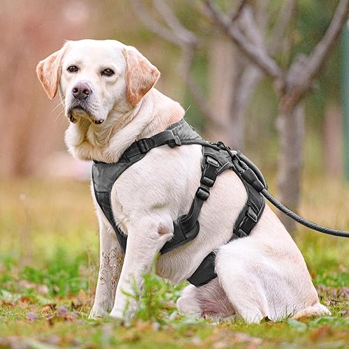 Miniatura 7 de PUPTECK Arnés sin tirones para perro, con asa de elevación, chaleco acolchado reflectante ajustable, a prueba de escapes, para perros pequeños,