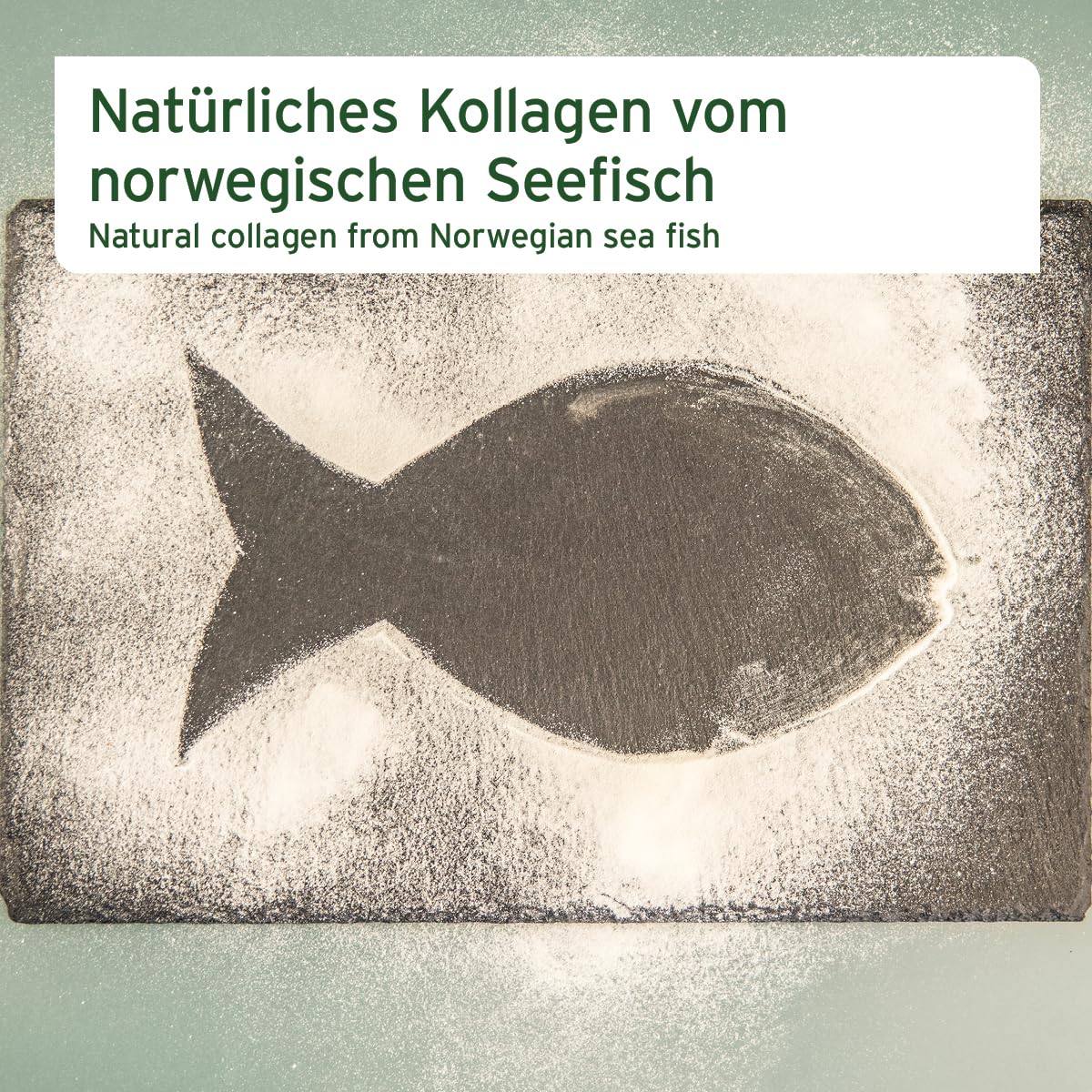 AniForte Marine Kollagen Gelenkpulver für Hunde CollaMove 250g – Fisch Collagen unterstützt Gelenke, Sehnen & Bänder – Naturprodukt für Gelenkfunktion & Agilität