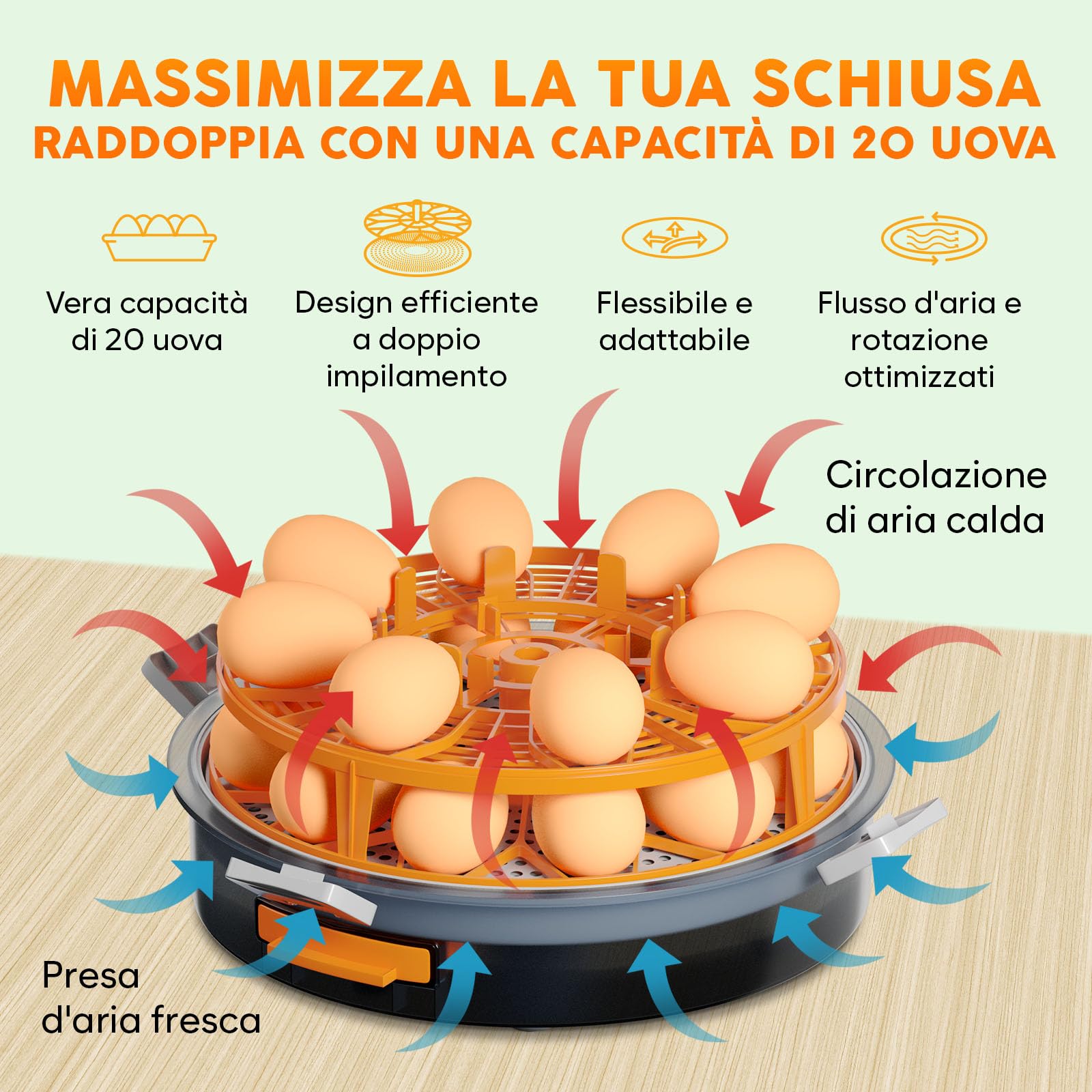Incubatrice per uova automatica Okköbi – Incubatrice per 12 o 20 uova gallina – Controllo automatico temperatura e umidità – Gira uova – Luce per test uova – Facile da usare