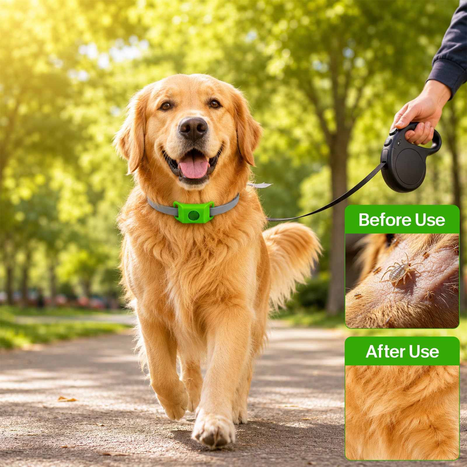 ZVD Pets Collier Anti Puce et Tique Naturel pour Chien, Répulsif aux Huiles Essentielles avec 2 Capsules Remplaçables, Collier Réglable sans Contact Direct Peau, Compatible AirTag (Noir)