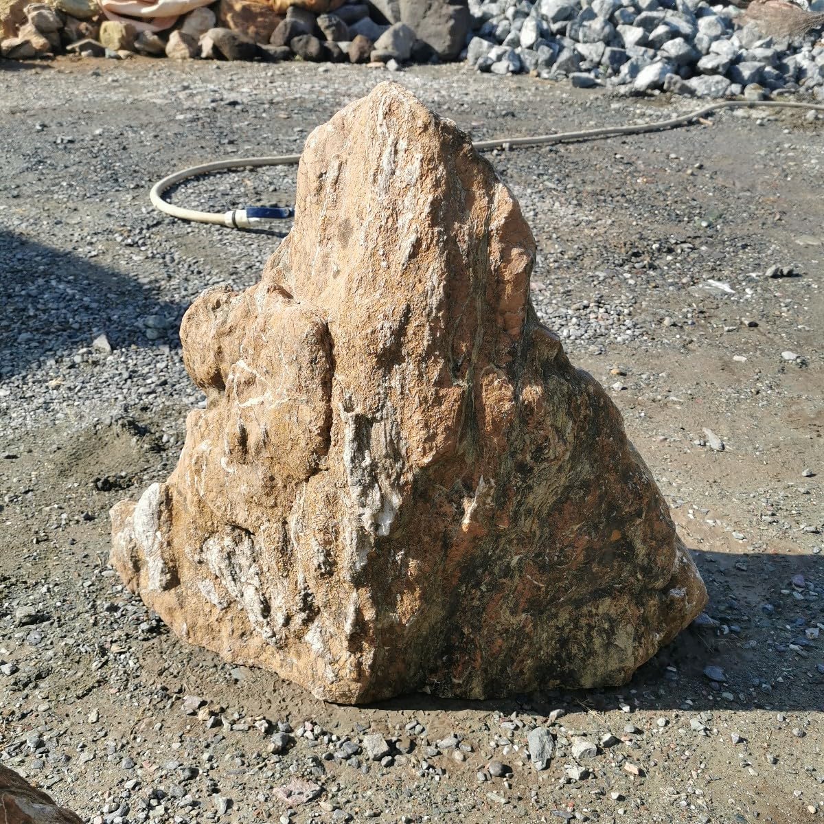 Amazon.co.jp: 三波石五色石91キロ庭石鑑賞石石盆石水石灯籠庭坪庭盆栽