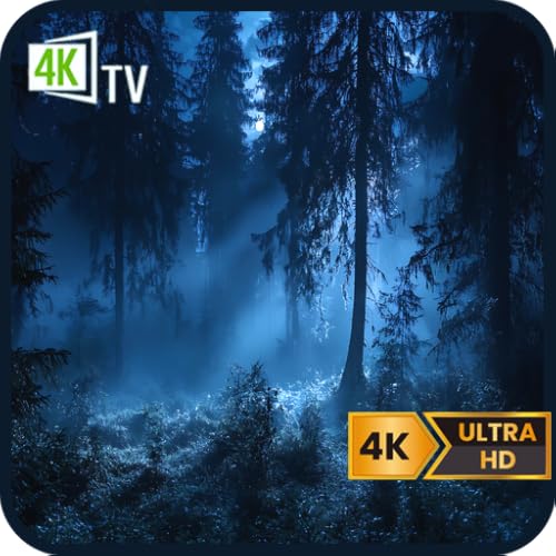 Forest Sleep Night-Dark Forest Night for Night Wind‑Down & ASMR