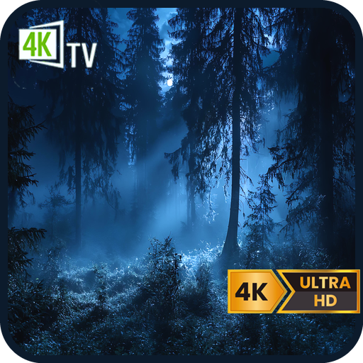 Forest Sleep Night-Dark Forest Night for Night Wind‑Down & ASMR