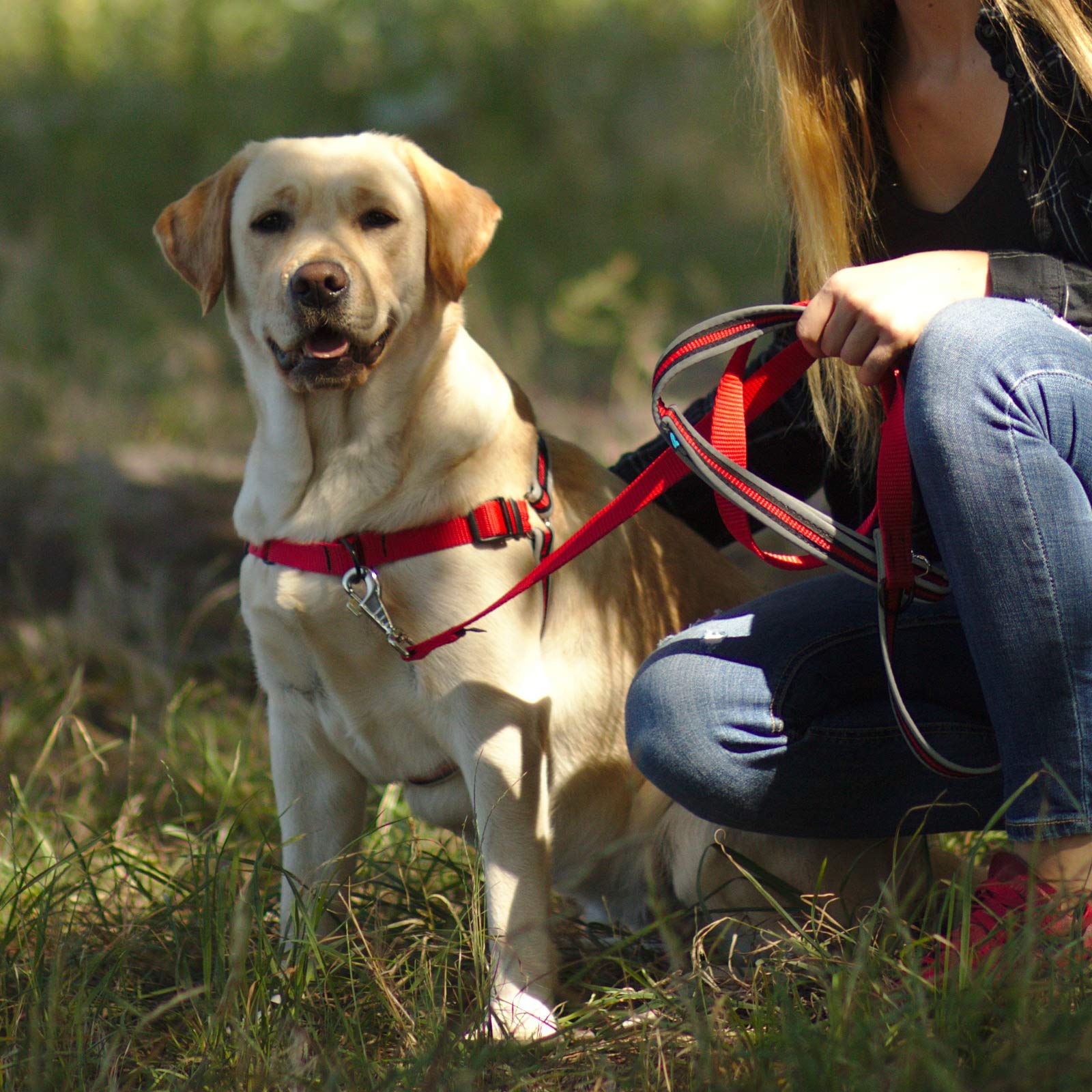 lionto Guinzaglio Retriever Guinzaglio per Cani Guinzaglio Formazione Cani, Lunghezza 120 cm Rosso