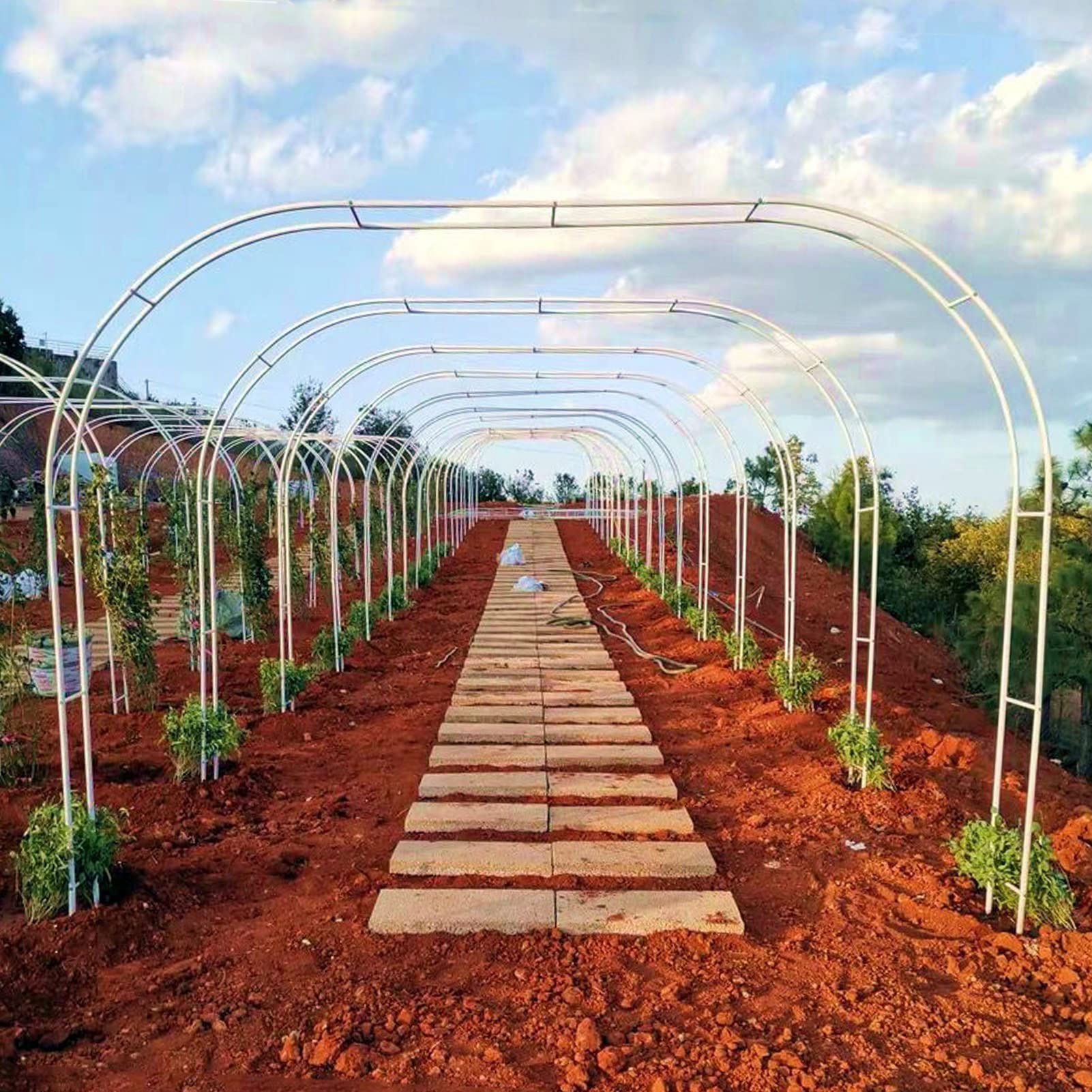 SDdPulse Arco de jardín de metal, pérgola al aire libre, arcos de jardín, patio, césped, fiesta, boda, para varias plantas trepadoras, enredaderas, arco, rosa, disponible en una variedad de tamaños